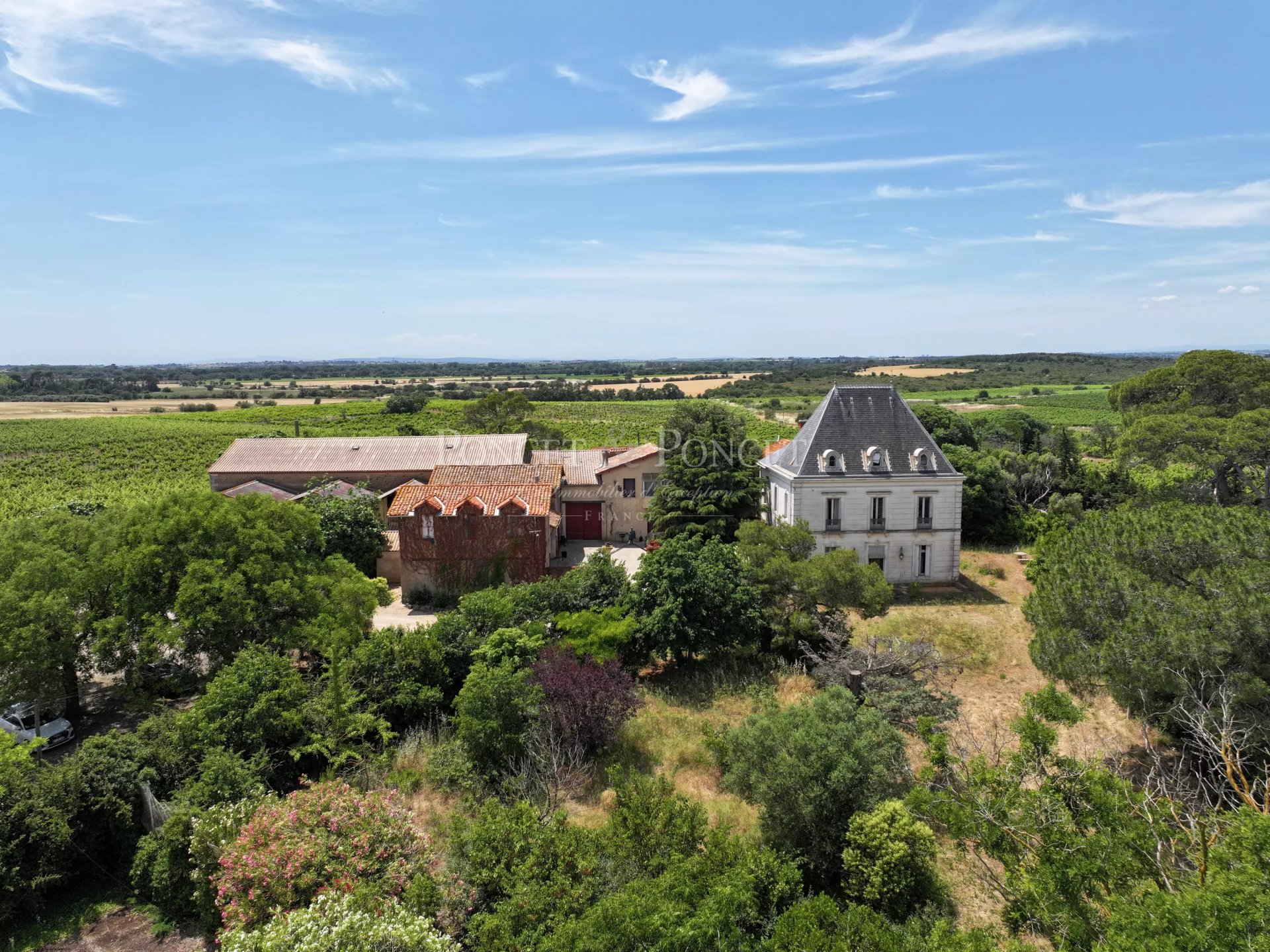 17 Bedroom Vineyard's Image 3