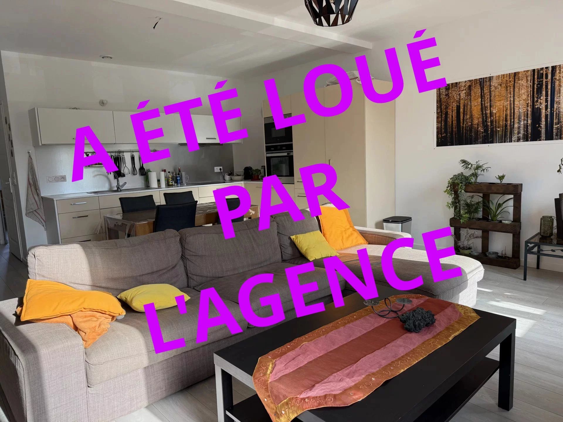 Location Appartement Milly-la-Forêt