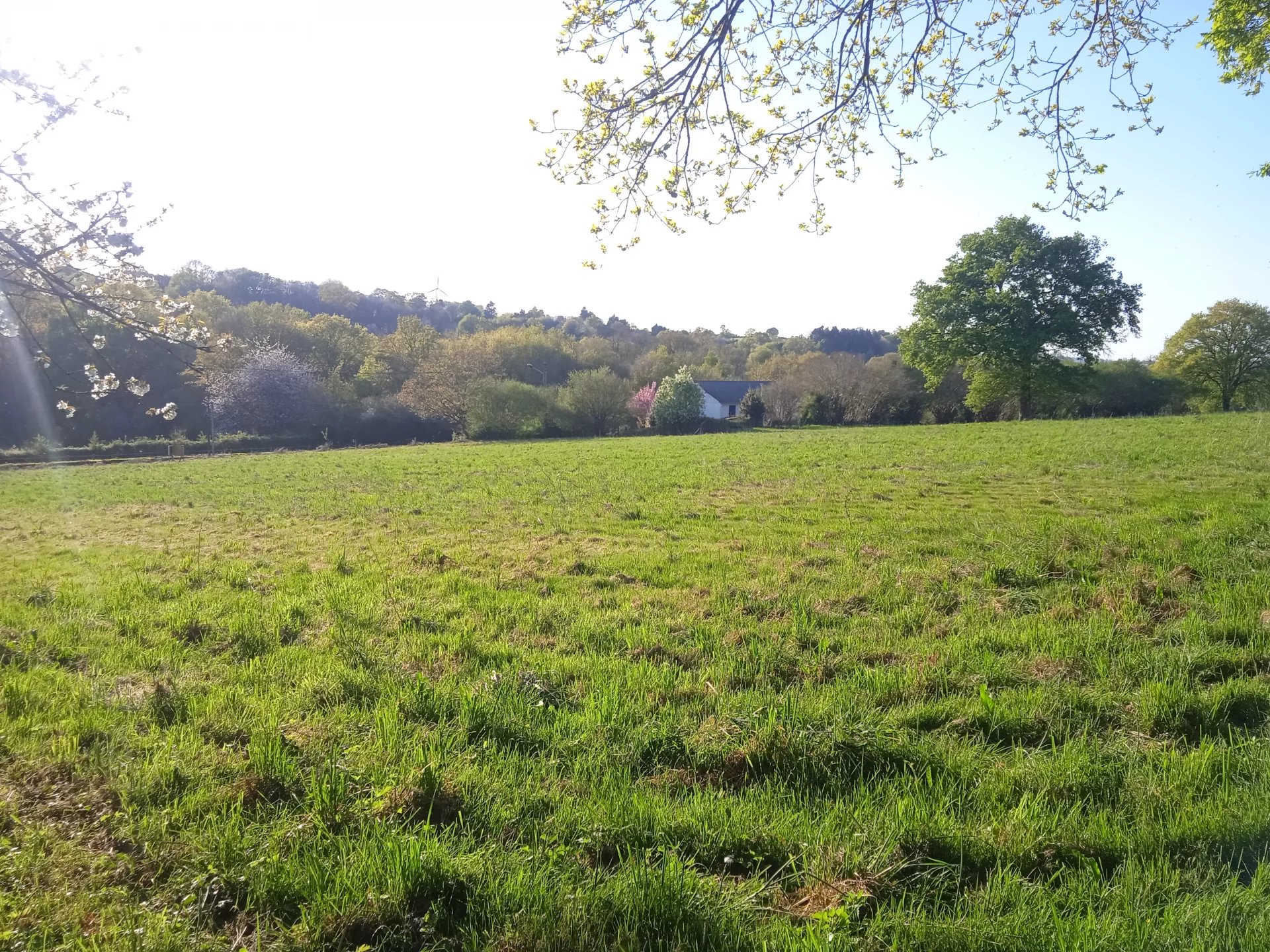 TERRAIN CONSTRUCTIBLE A SOULVACHE