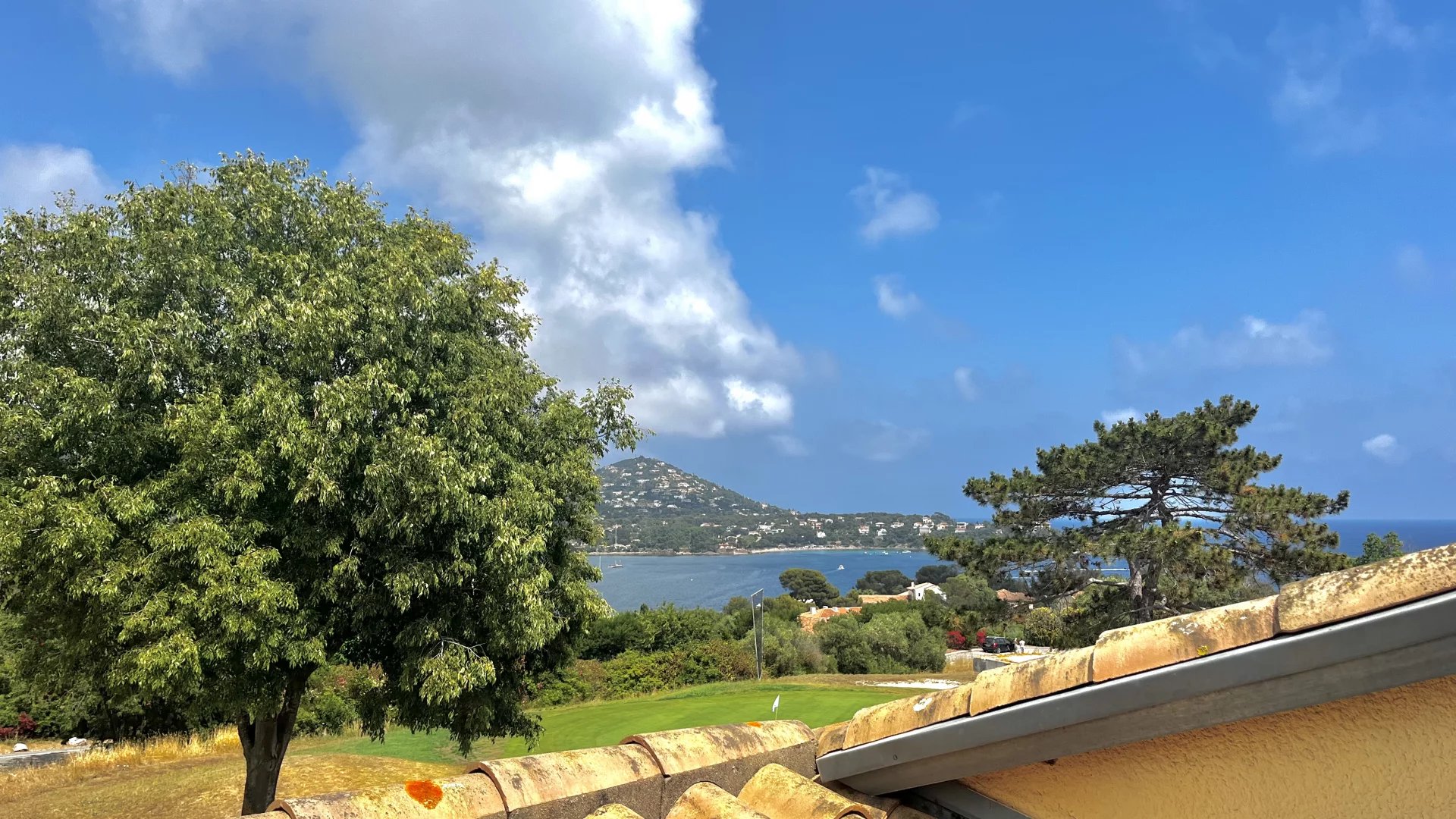 Agence immobilière de Azzurra Immobilier