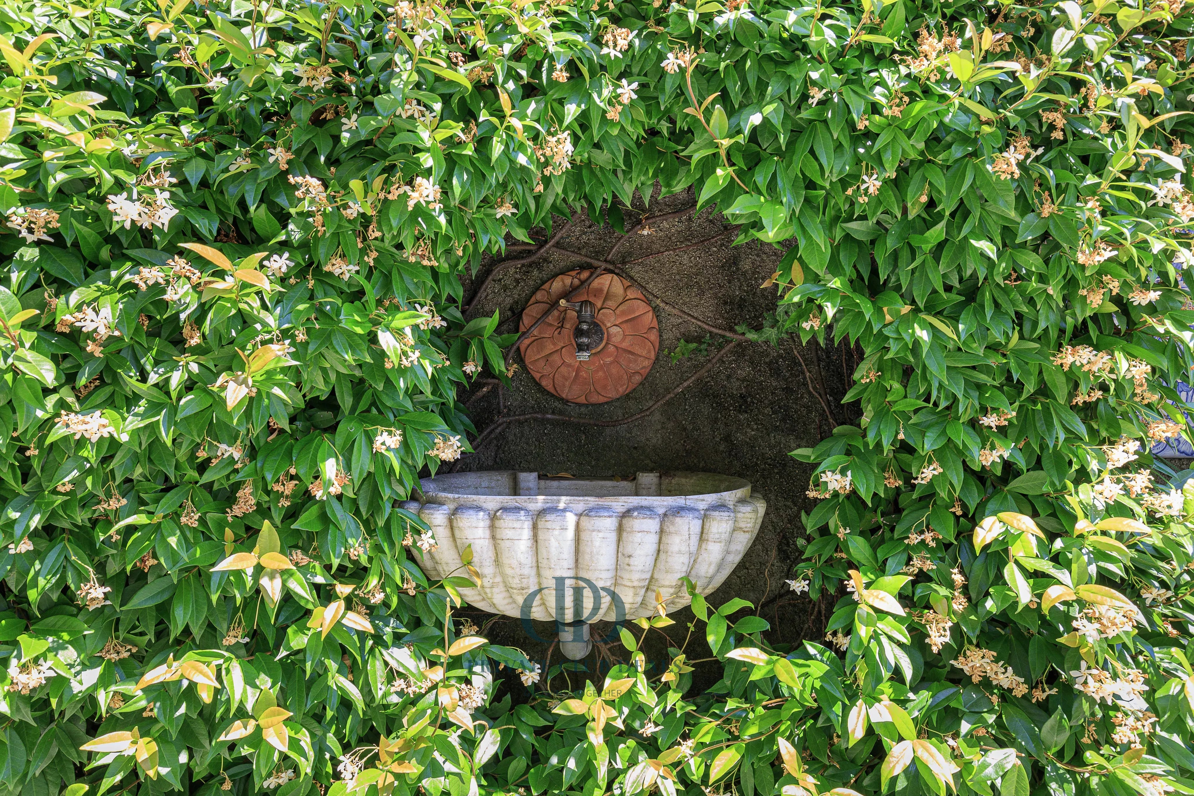 Villa Tremezzina - picture 34