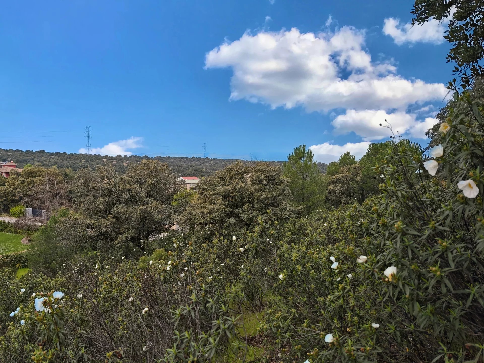 Vente Terrain Ciudalcampo