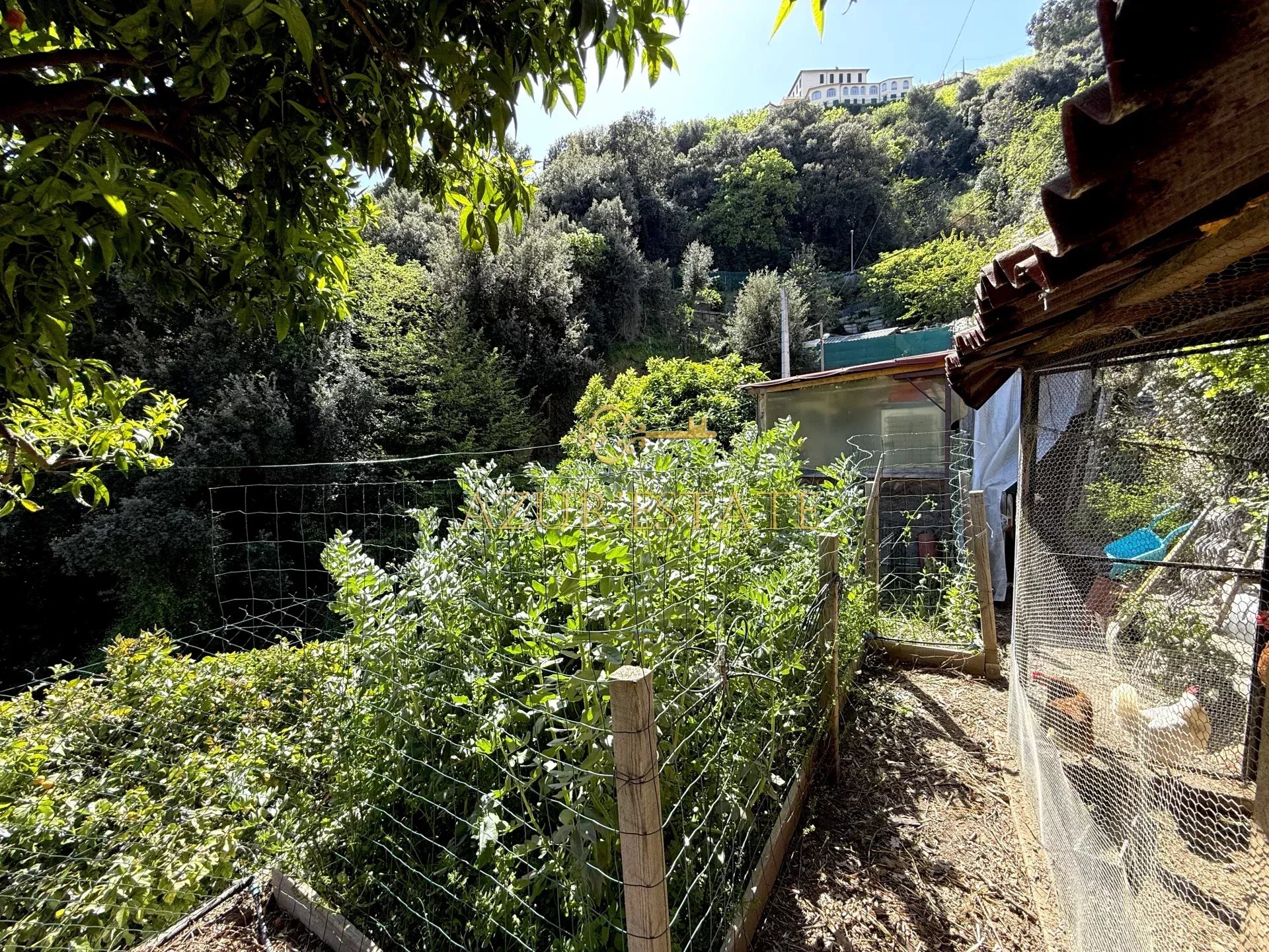 Sale House Menton Annonciade