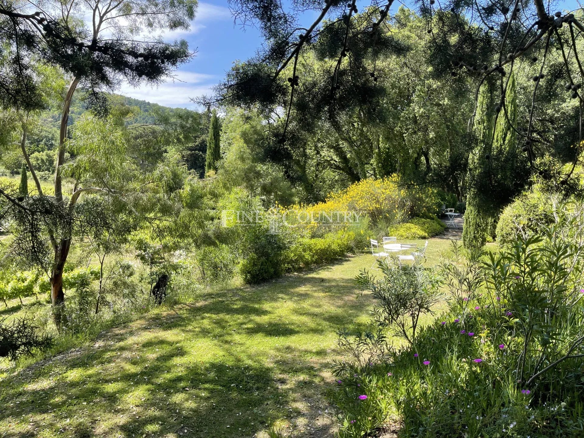 Photo of Property for sale in La Garde Freinet with vineyard