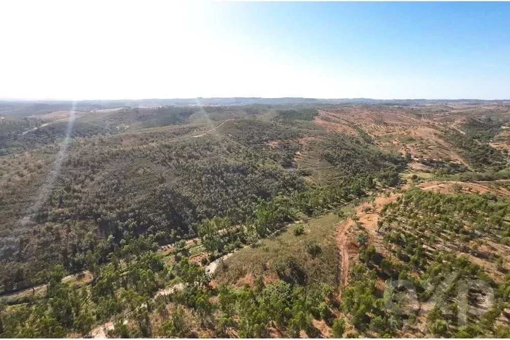 Exceptional 65-Hectare Estate in Alentejo with Tourism Development Potential 85506160 image 10