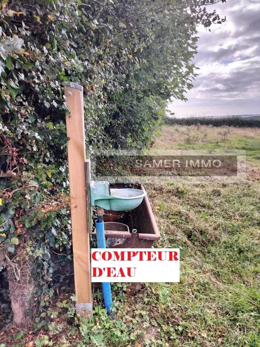 Agence immobilière de 