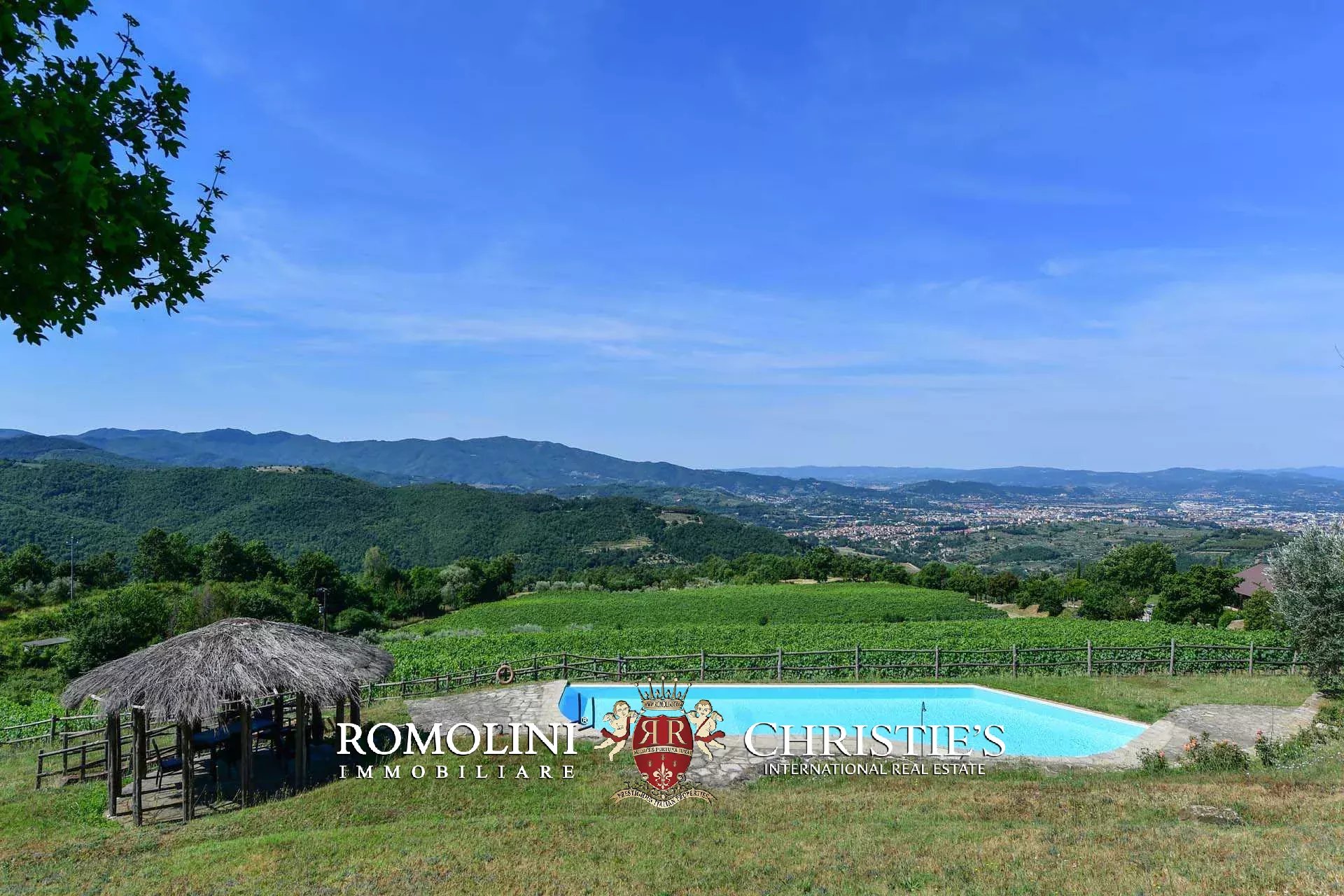 TENUTA VINICOLA BIOLOGICA IN VENDITA, CANTINA BIO TOSCANA