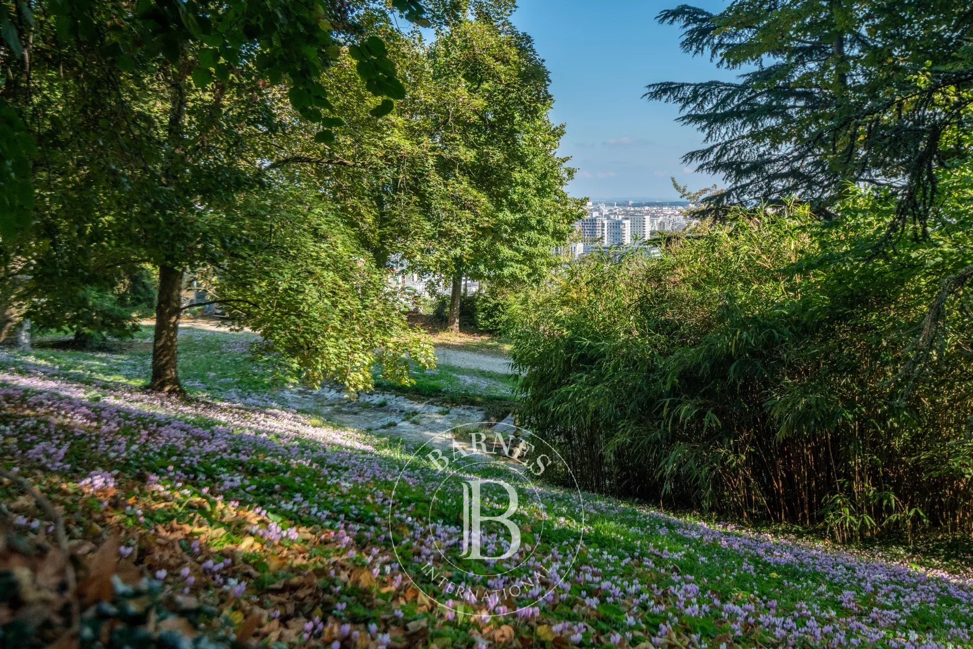 Ev Sainte-Foy-lès-Lyon - picture 7