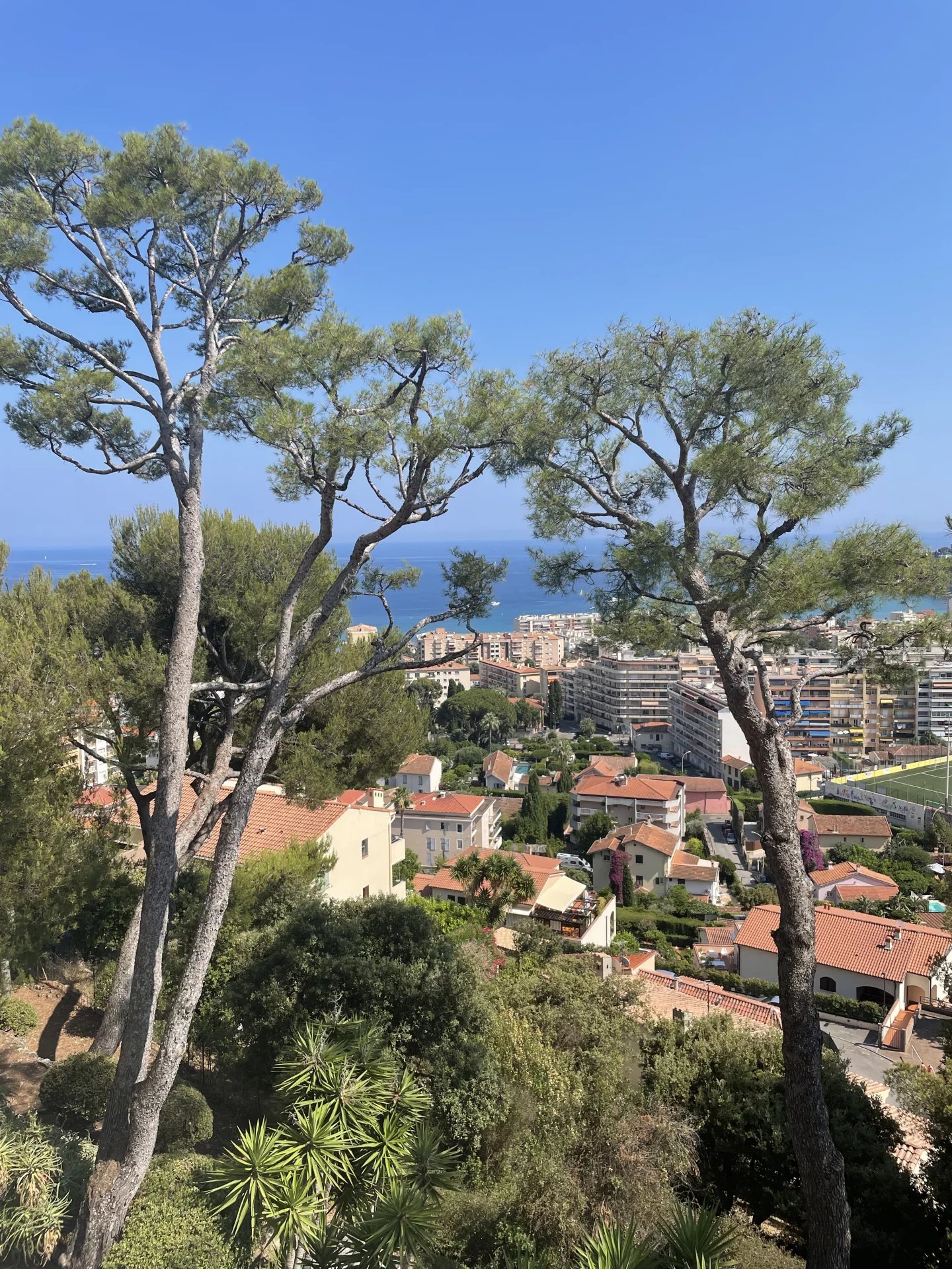 Rental Apartment Roquebrune-Cap-Martin Vallonnet