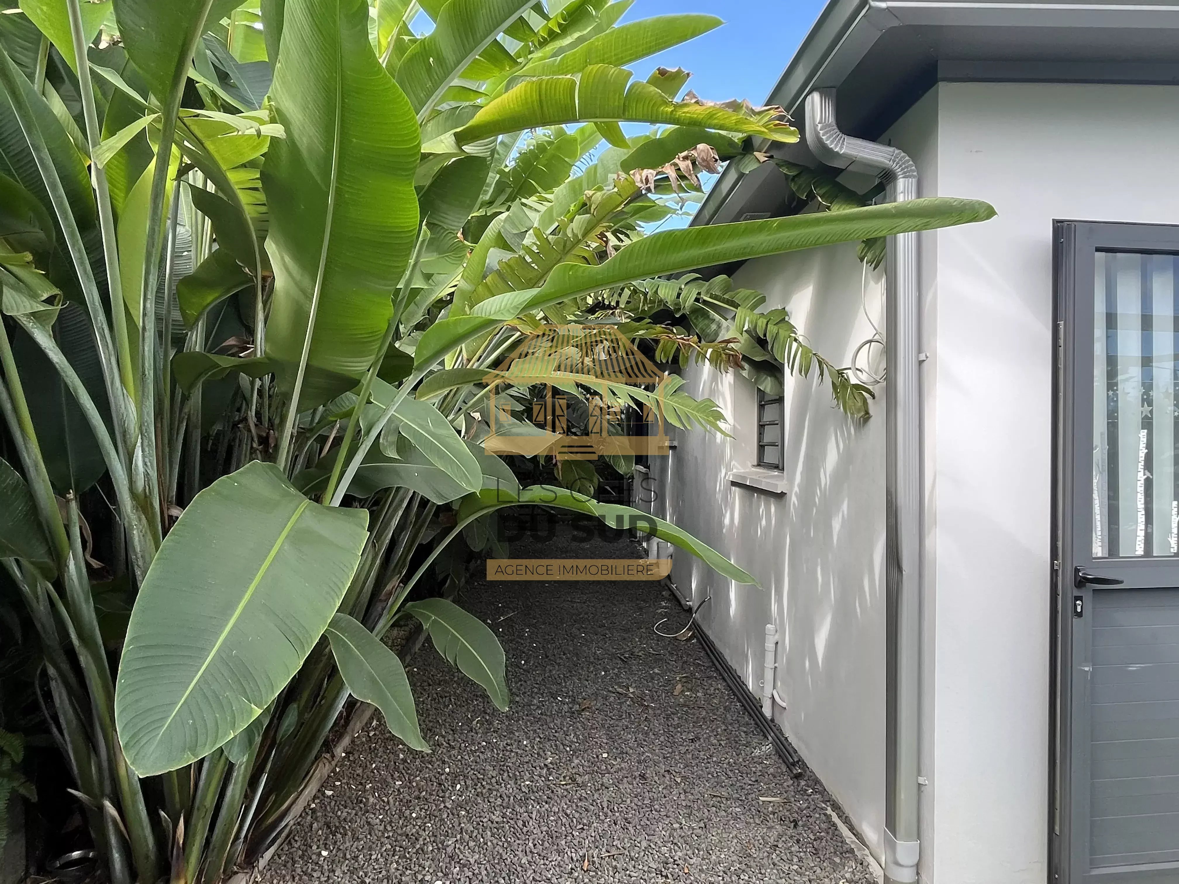 Maison T4 à louer sur les Bas de Jean Petit (97480)