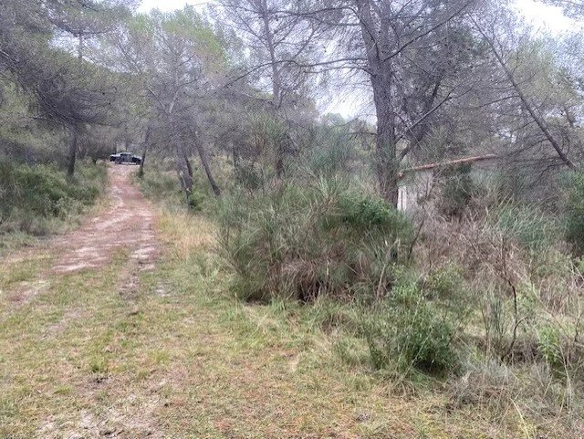 Продажа Земля, не подлежащая застройке - Peille