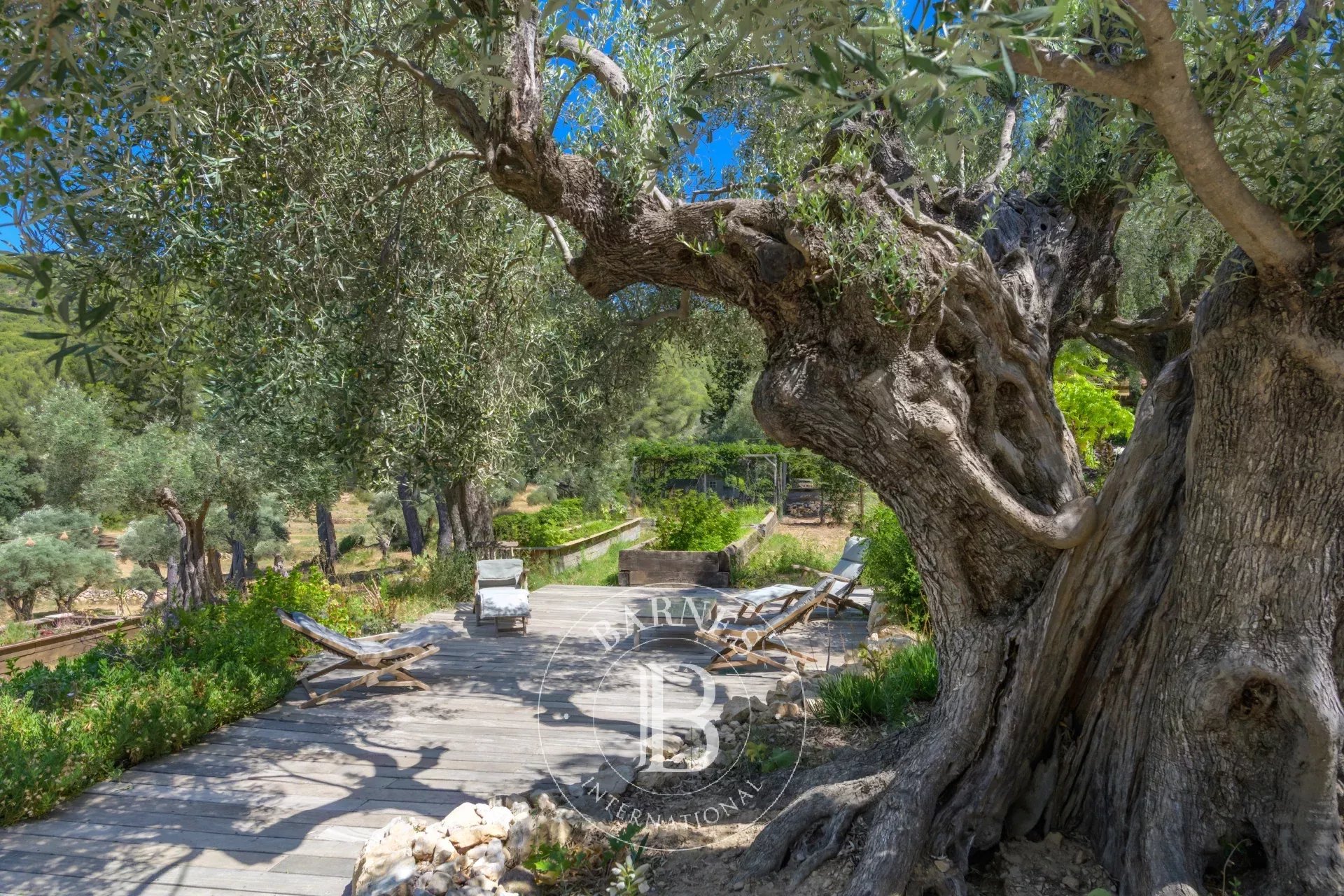 Ev Sanary-sur-Mer - picture 35