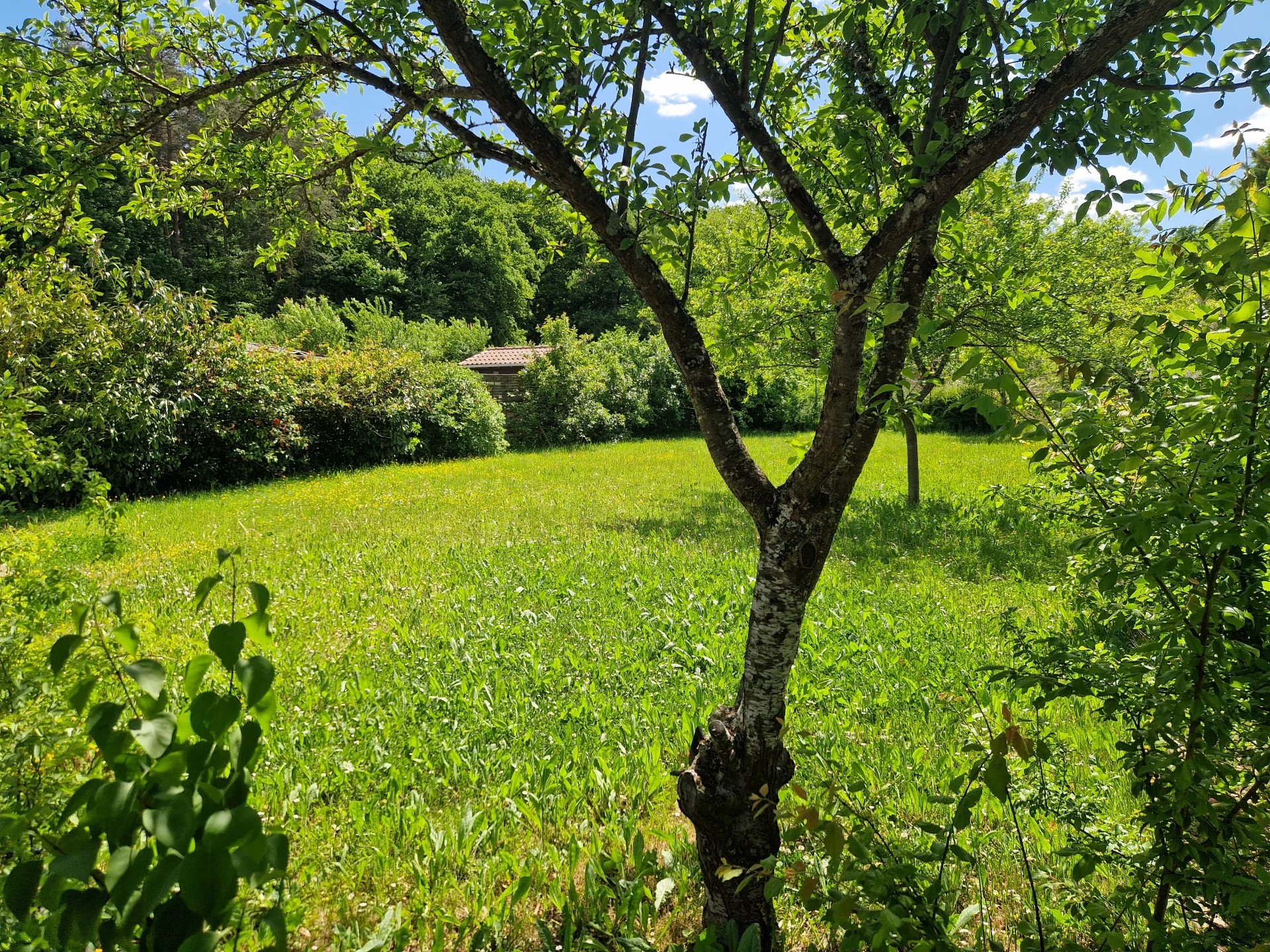 Achat Maison T7 à Yutz (57970) - 193m²