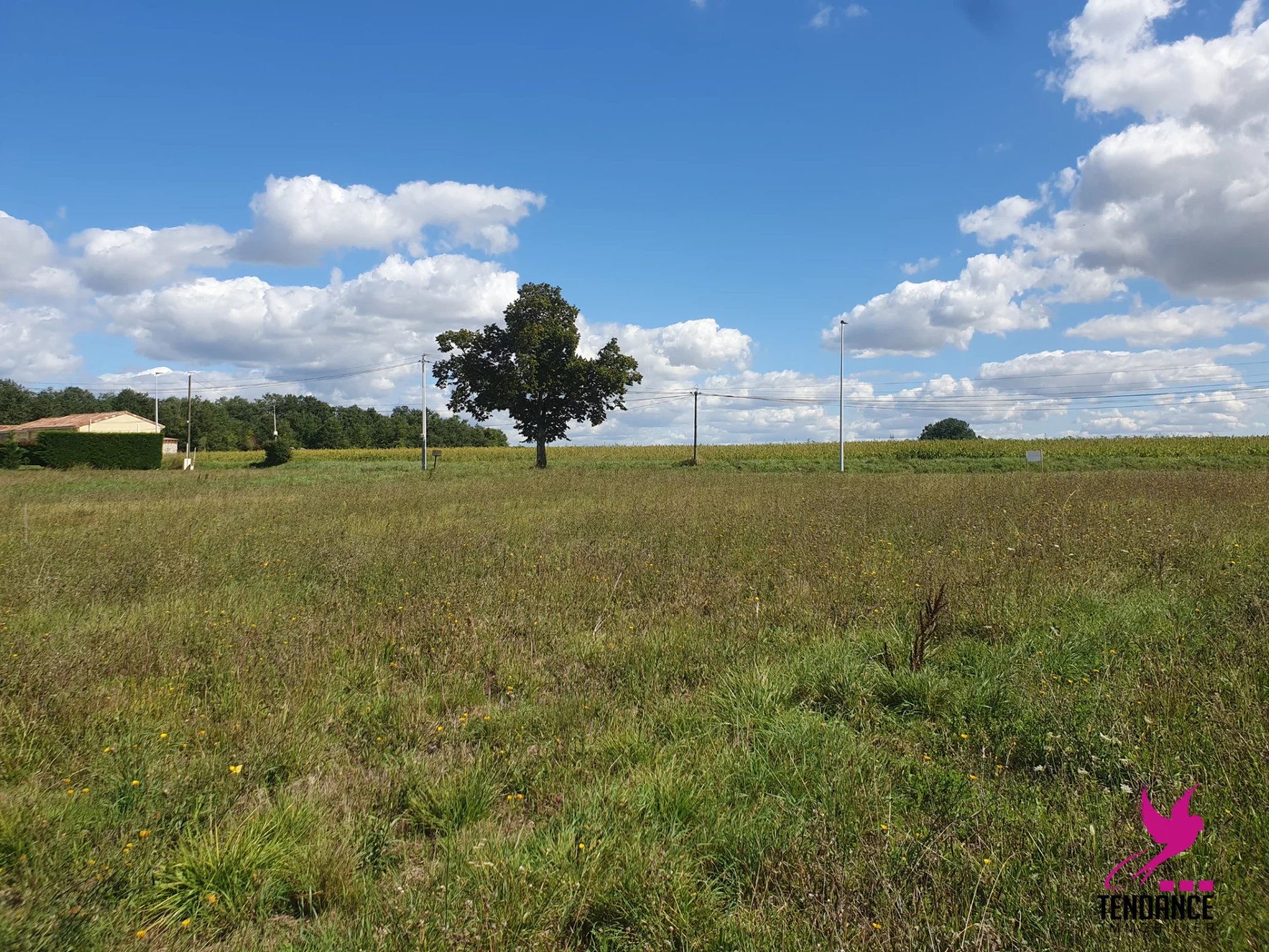 Vente Terrain Saint-Cézert