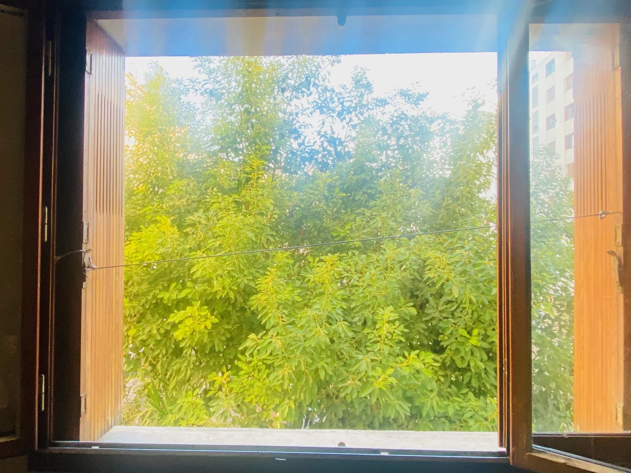 Agence immobilière de TRIHOME IMMOBILIER