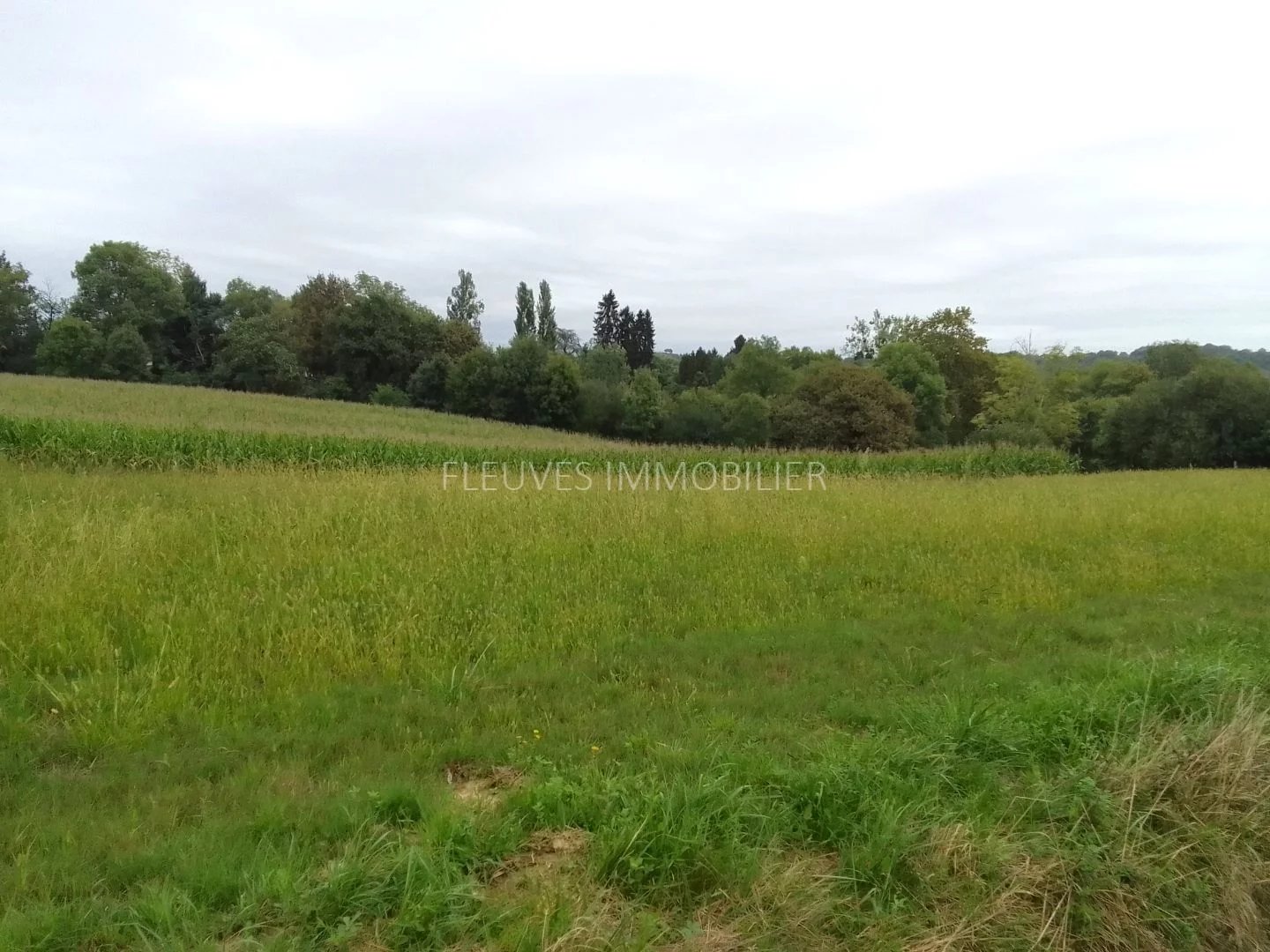 TERRAIN A BATIR DE 2000 M² A VIELLESEGURE