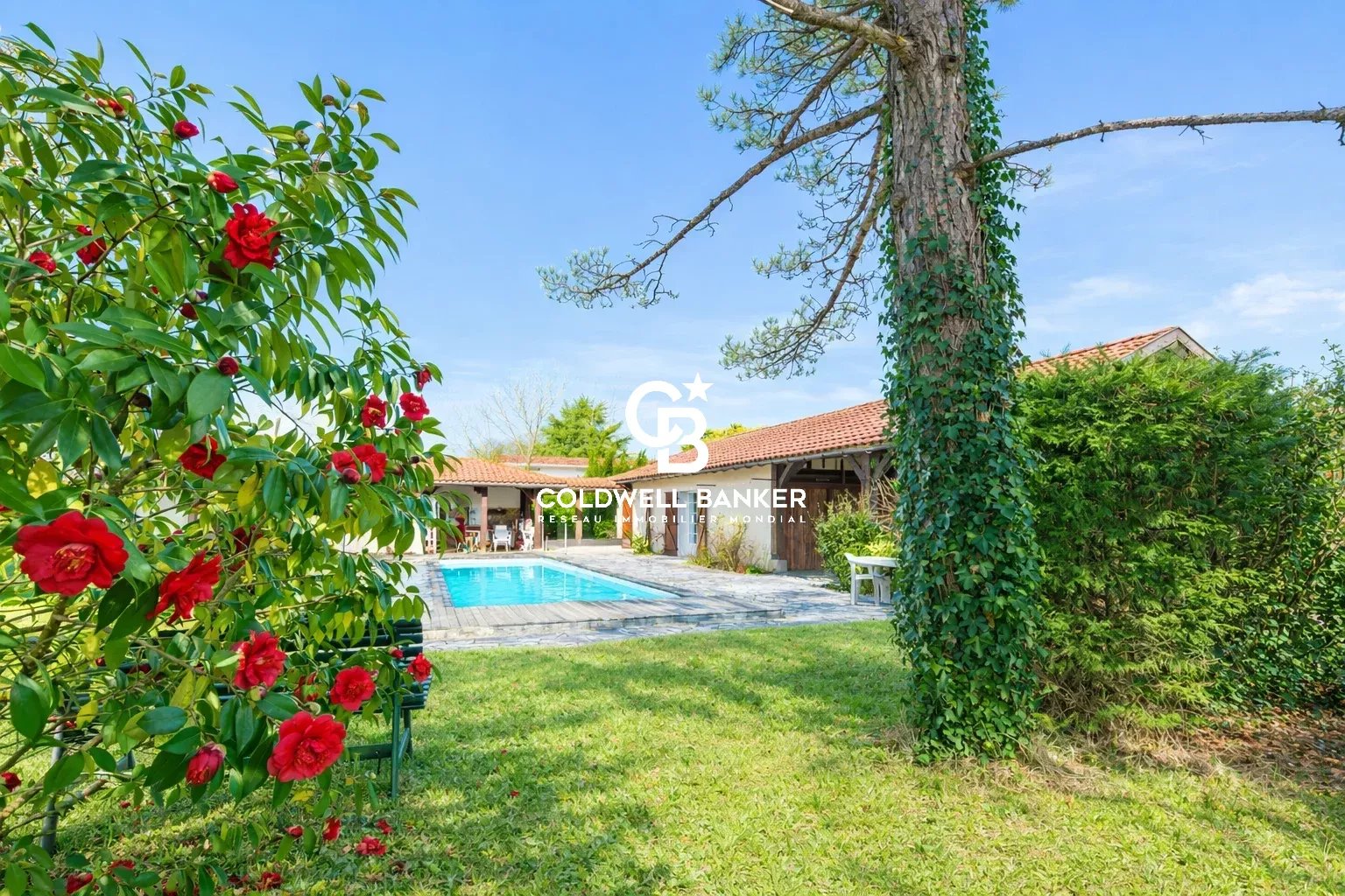 Agence immobilière de Coldwell Banker Surfin Realty