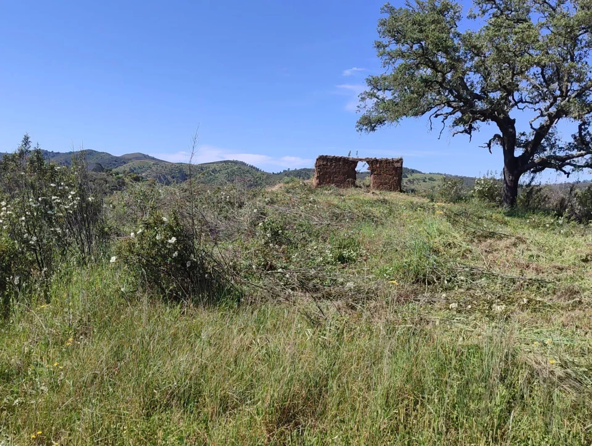 1.13 Hectares: Potential for Luxury Housing or Elite Tourist Project 8375-200 image 7