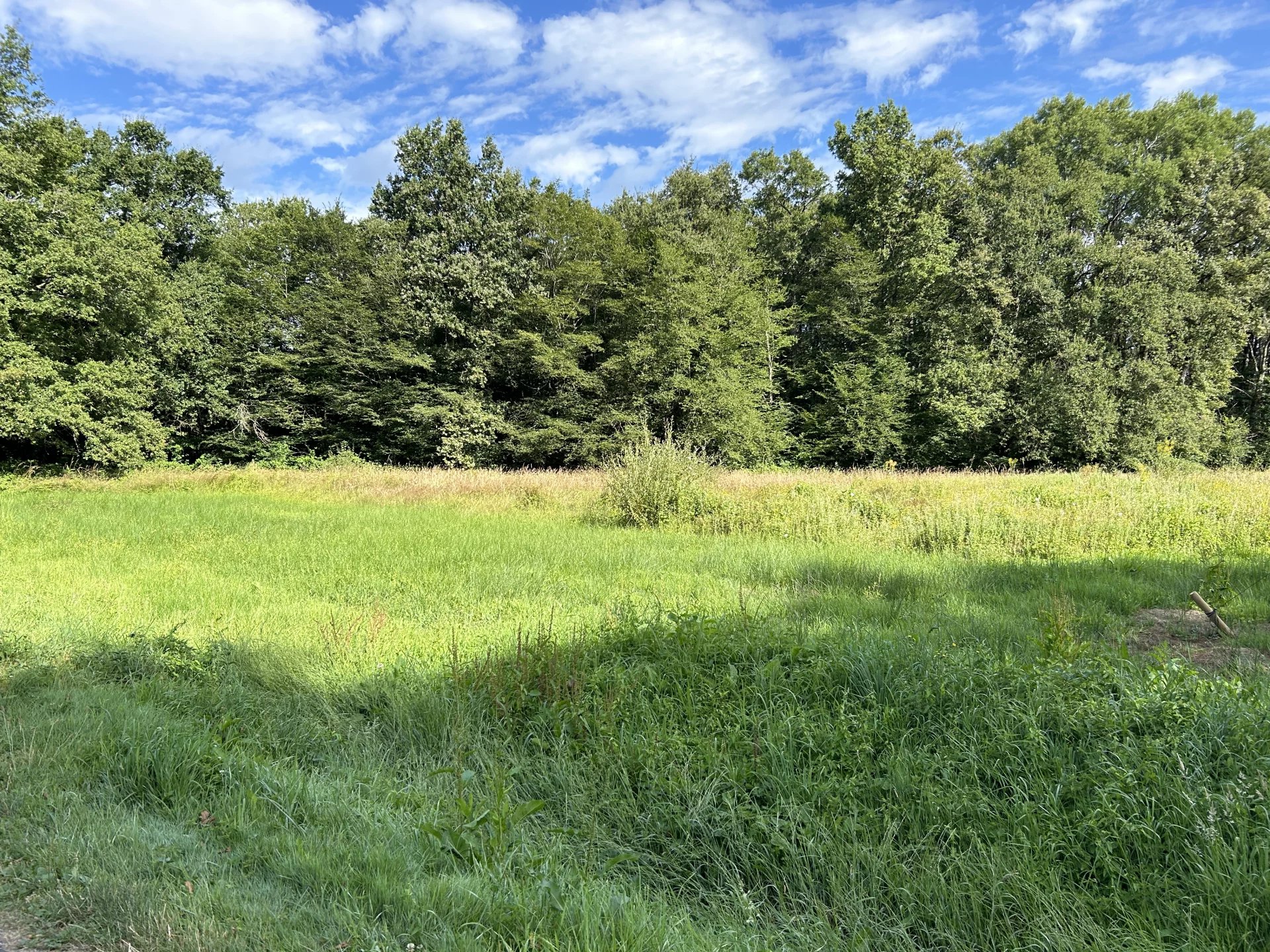 Agence immobilière de Agence Blancoise