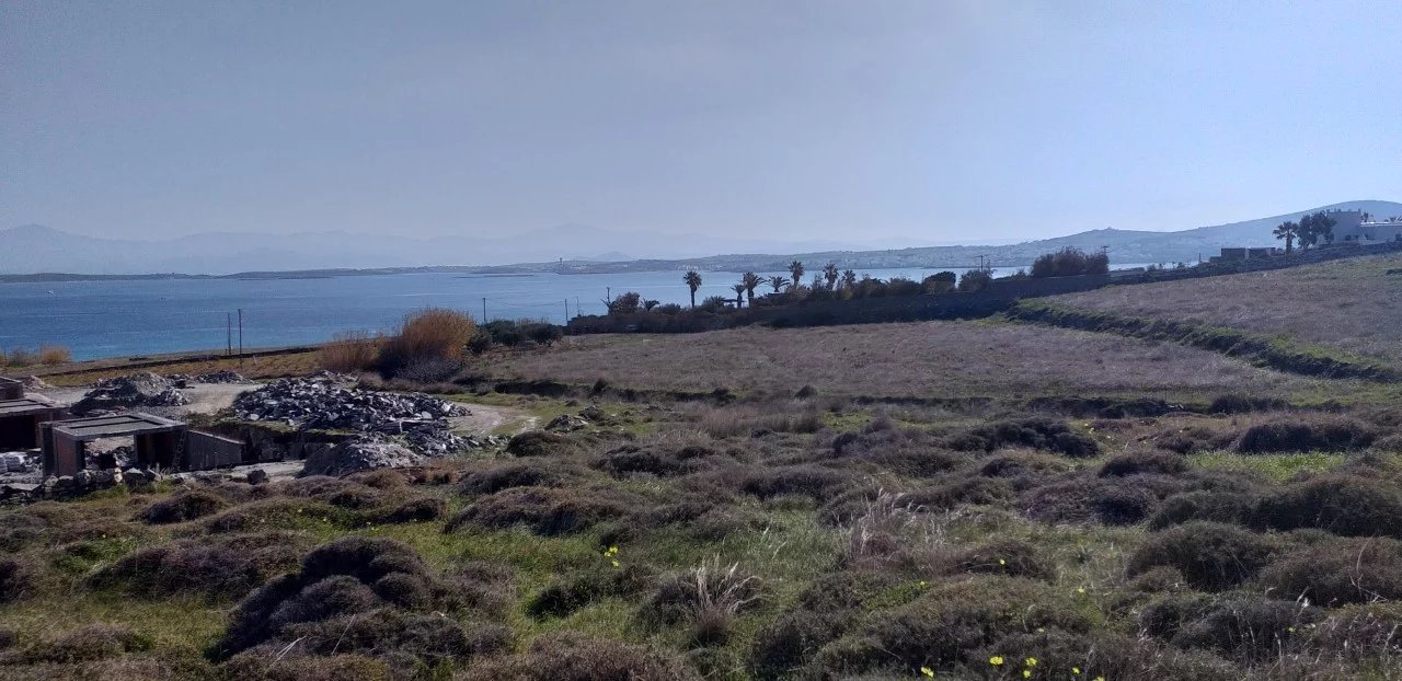 Image de la propriété 13