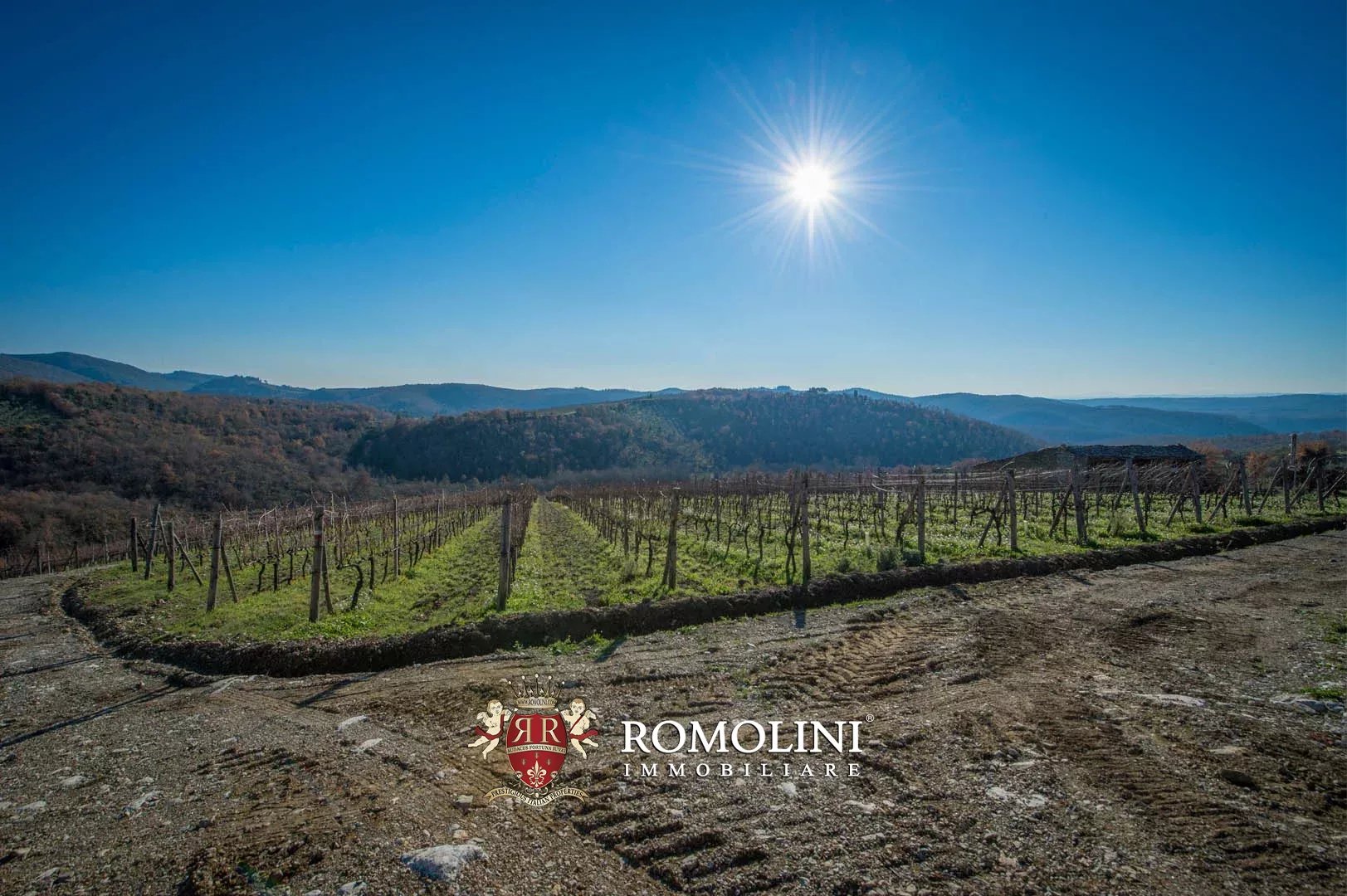 4 Bedroom Vineyard's Image 7
