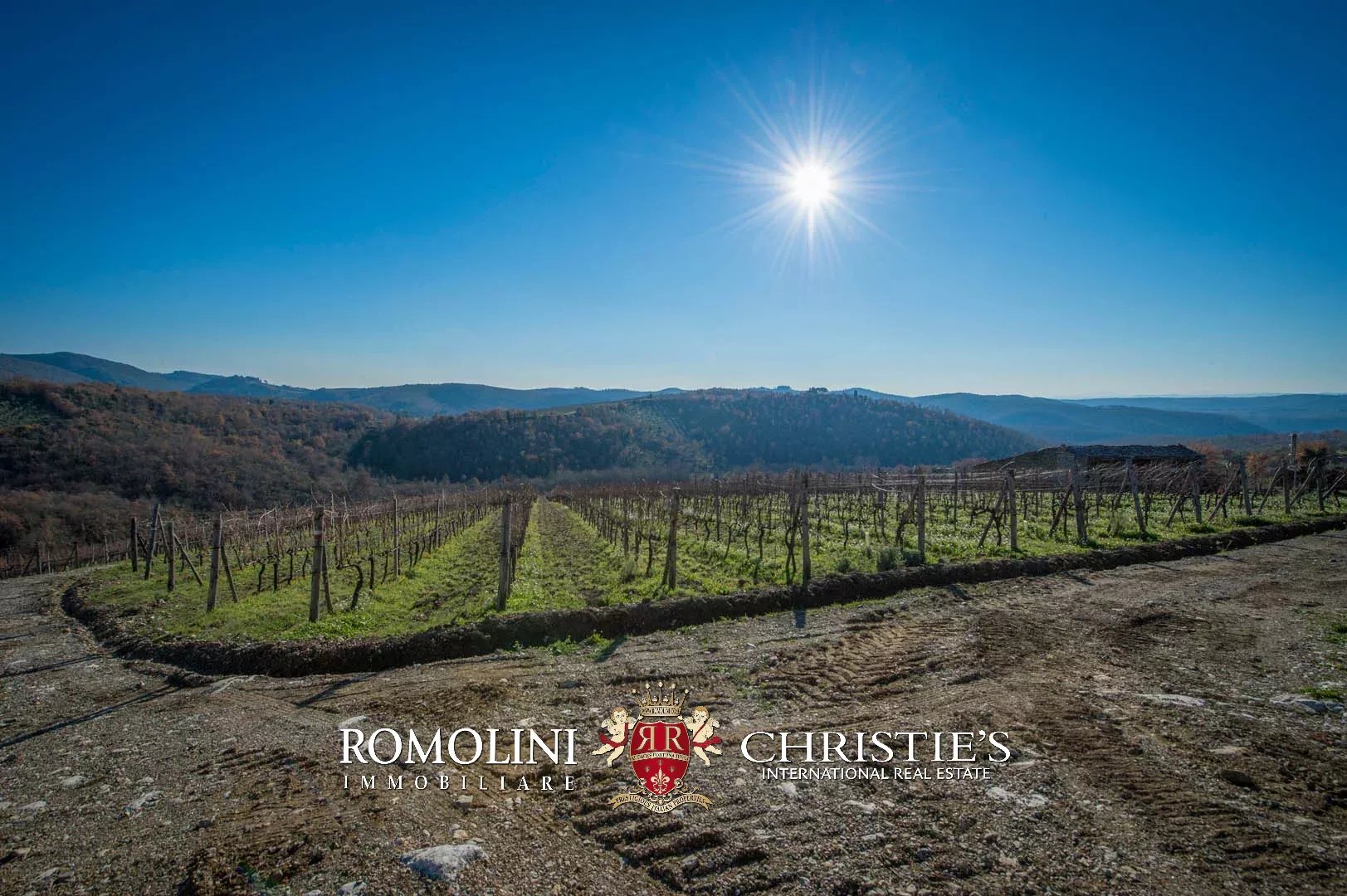 4 Bedroom Vineyard's Image 7