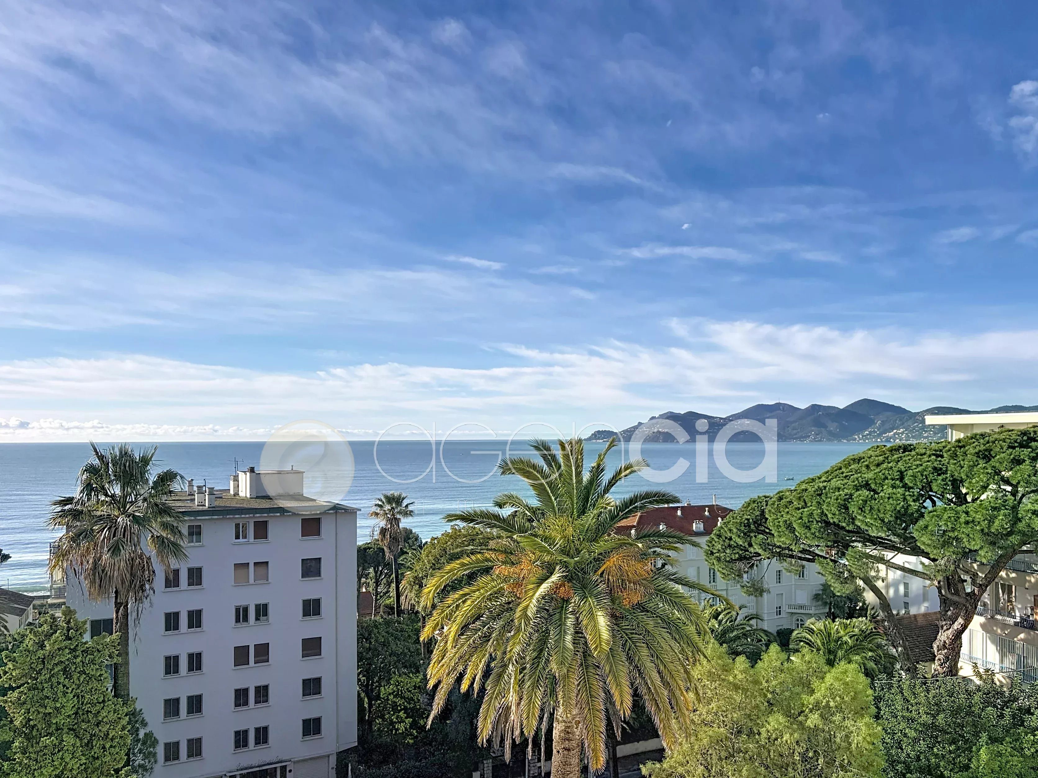 Agence immobilière de Agencia Saint-Pierre