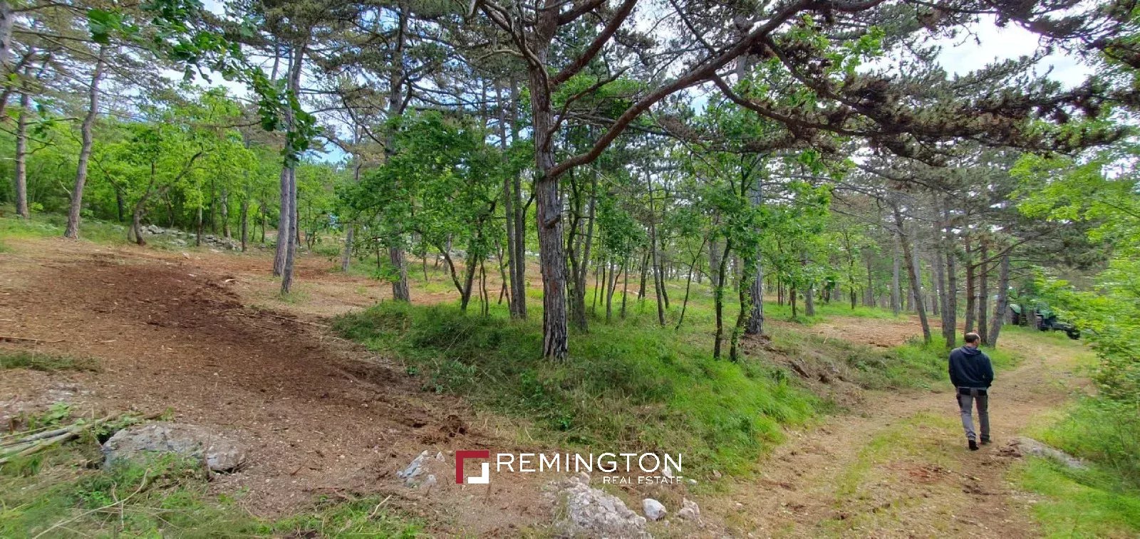 Land/Vacant Land's Image 8