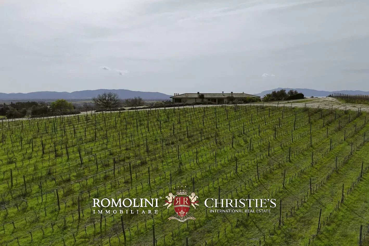 3 Bedroom Vineyard's Image 31