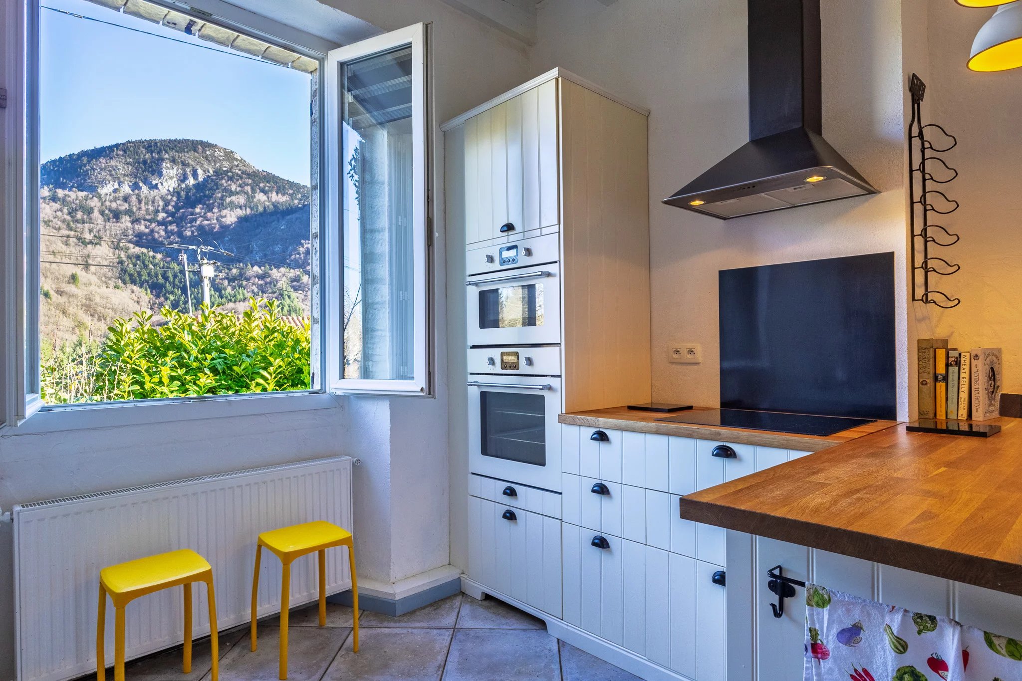 House for sale Puivert, Aude