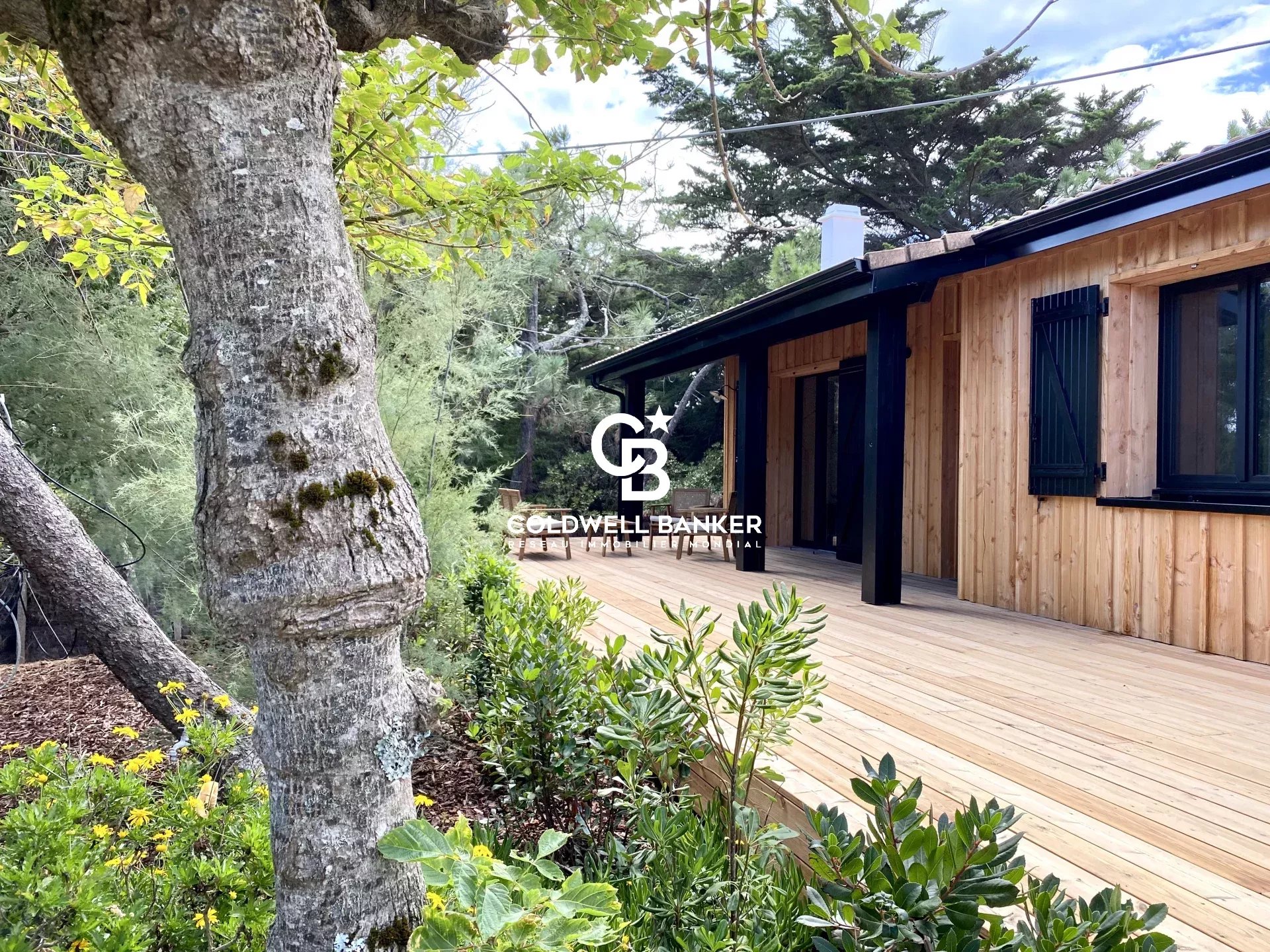 Agence immobilière de Silver Coast Int. Realty