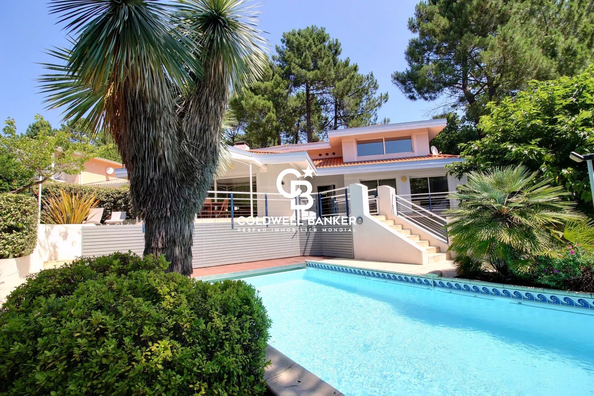 Agence immobilière de Silver Coast Int. Realty