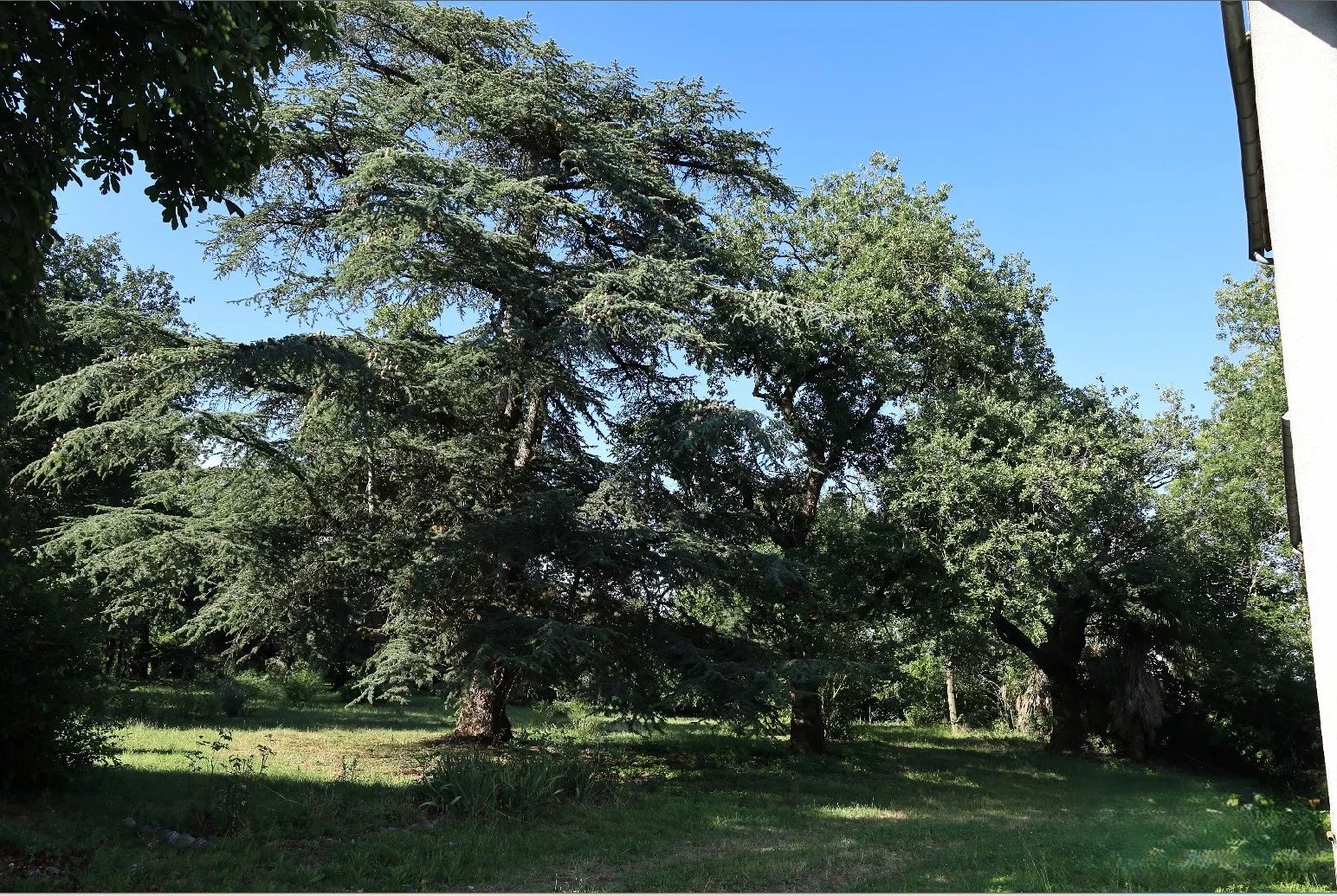 Maison à vendre Salles-sur-Garonne, Haute-Garonne