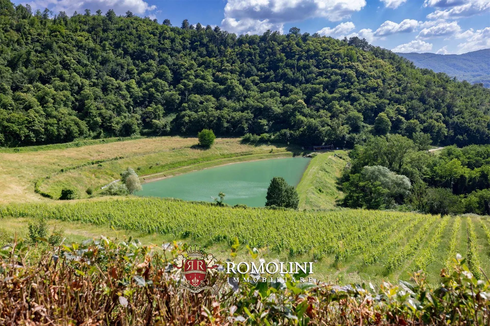34 Bedroom Vineyard's Image 35