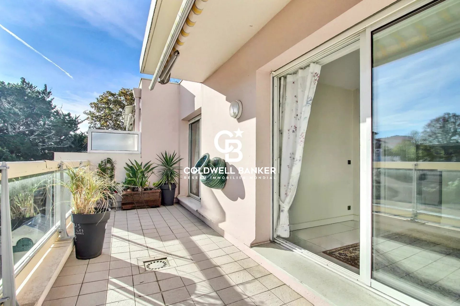 Agence immobilière de Silver Coast Int. Realty