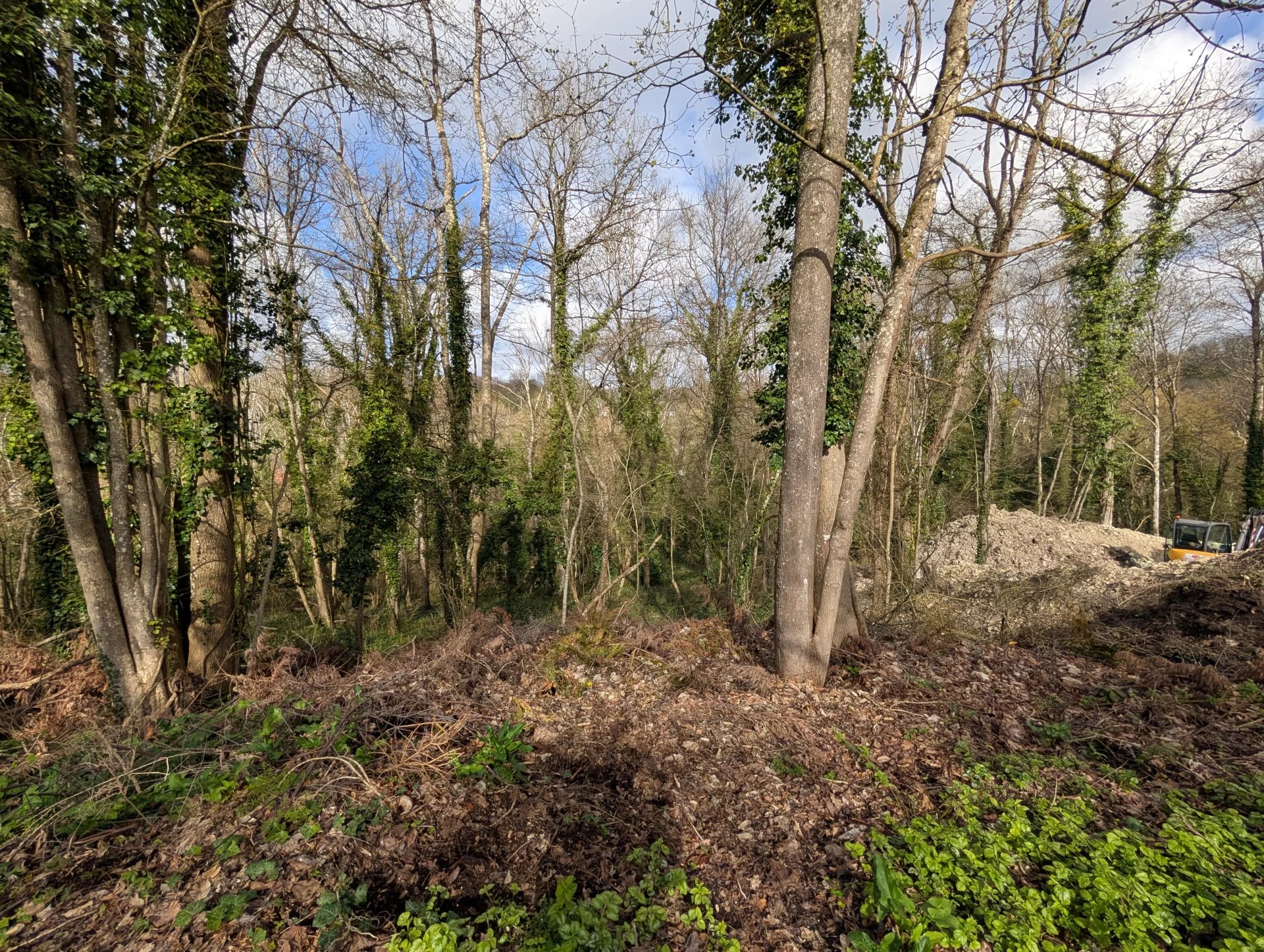 Agence immobilière de ETUDE IMMOBILIÈRE PHILIPPE LAMBERT