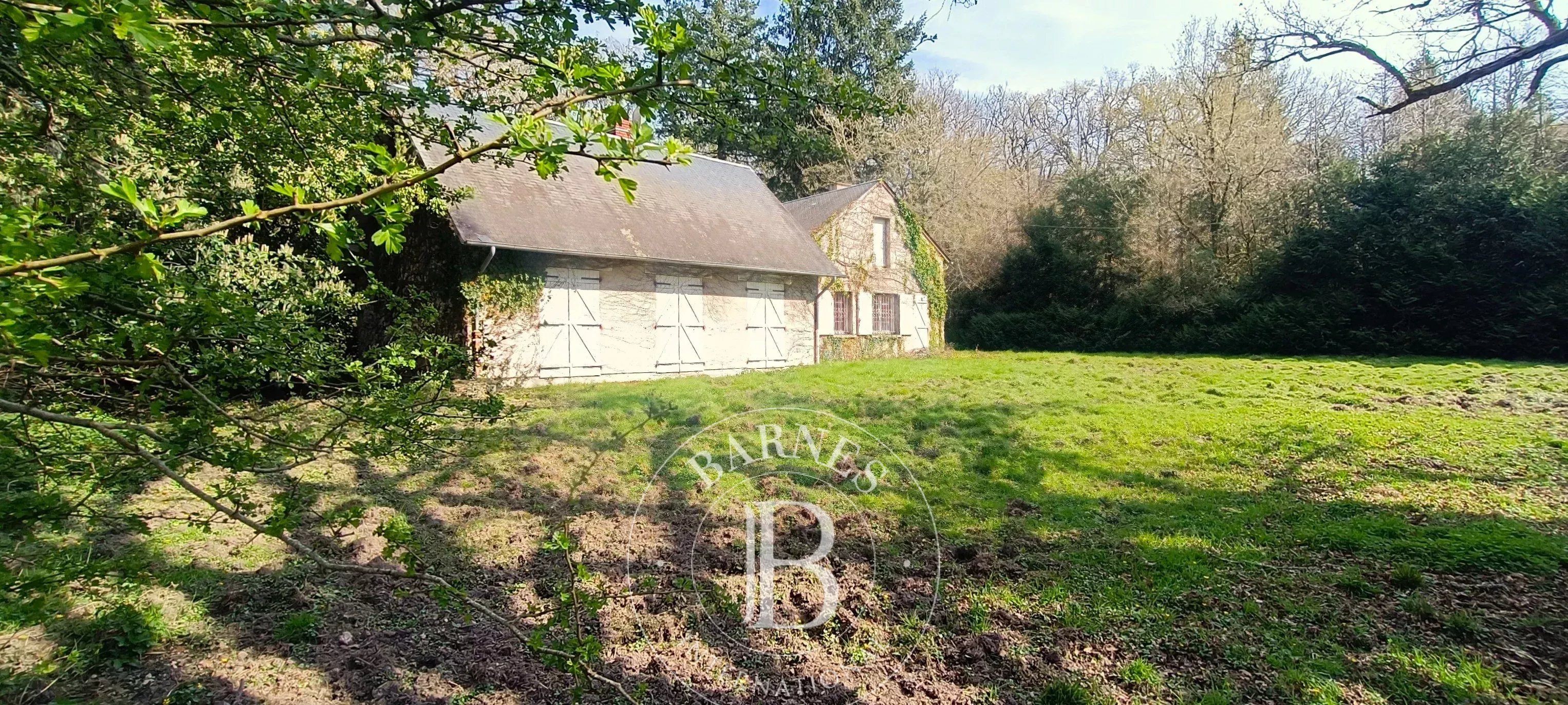 Domaine de chasse Salbris  -  ref 86889368 (picture 3)