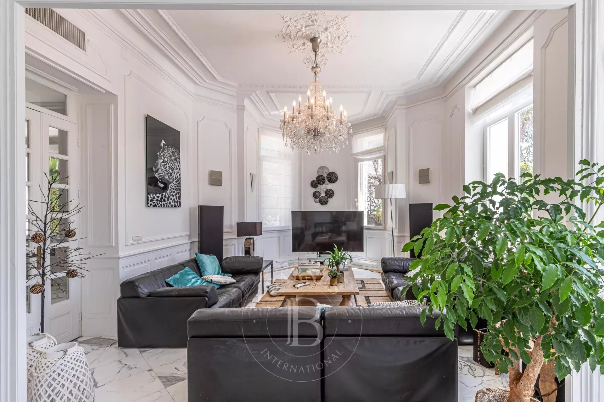 Villa Cannes - picture 6