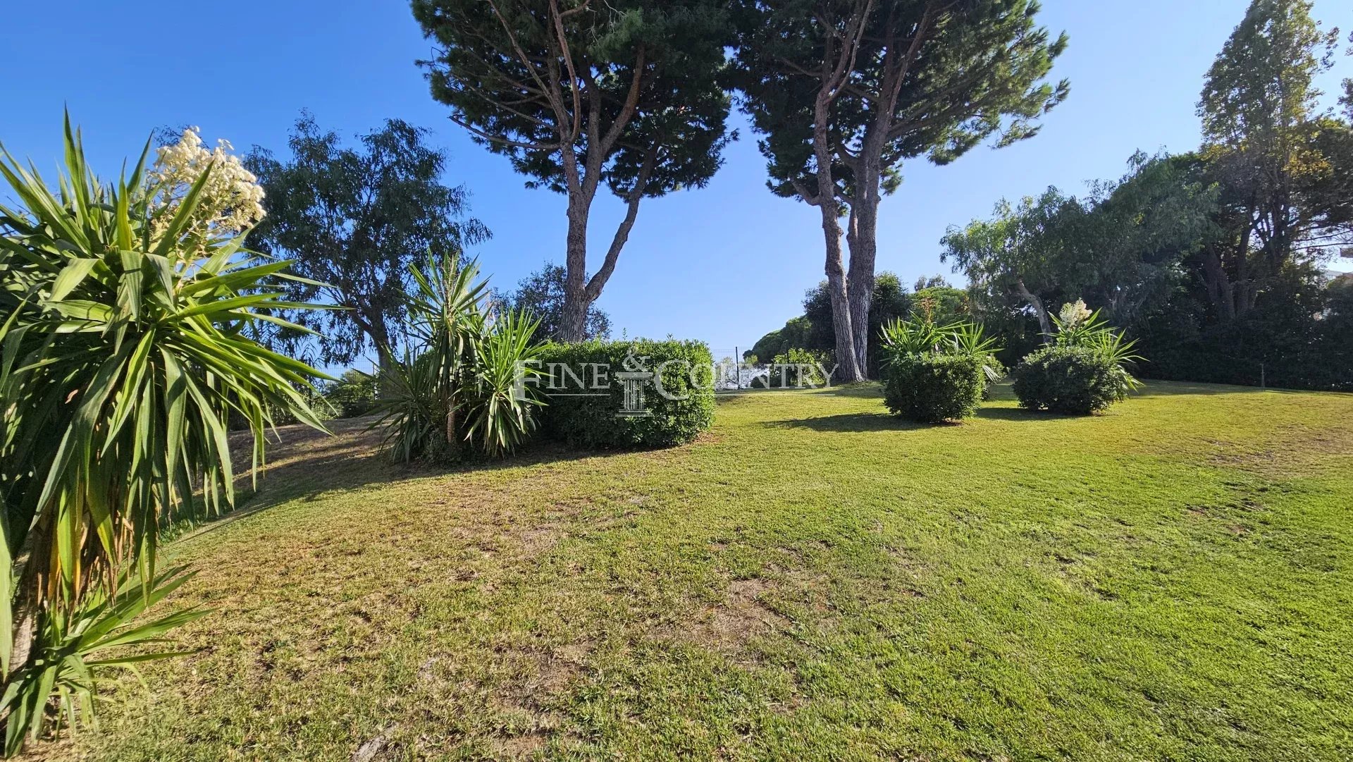 Photo of Apartment for sale in Antibes