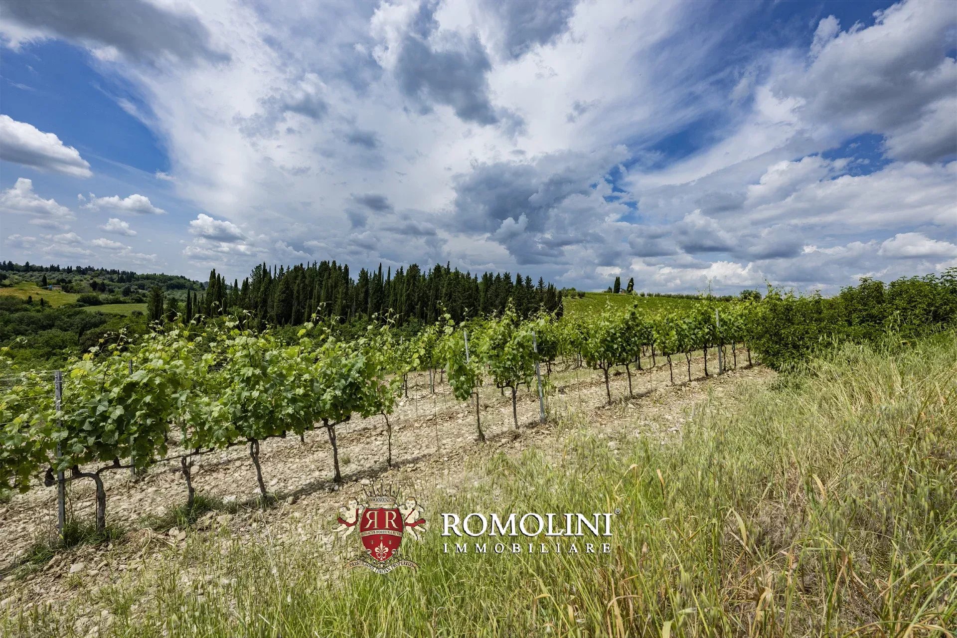 7 Bedroom Vineyard's Image 4
