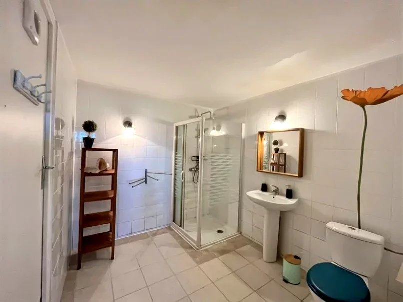 Maison d'hôtes à vendre L'Isle-en-Dodon, Haute-Garonne