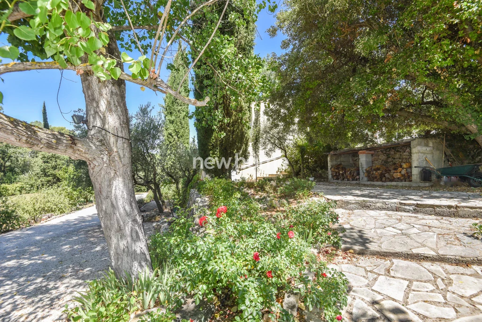 Maison 4 chambres au clame sur un beau terrain arboré