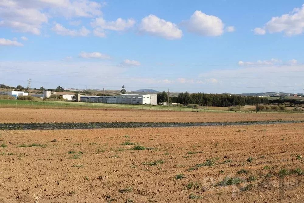 Industrial land in Casalinhos de Alfaiata - Torres Vedras 85506358 image 2