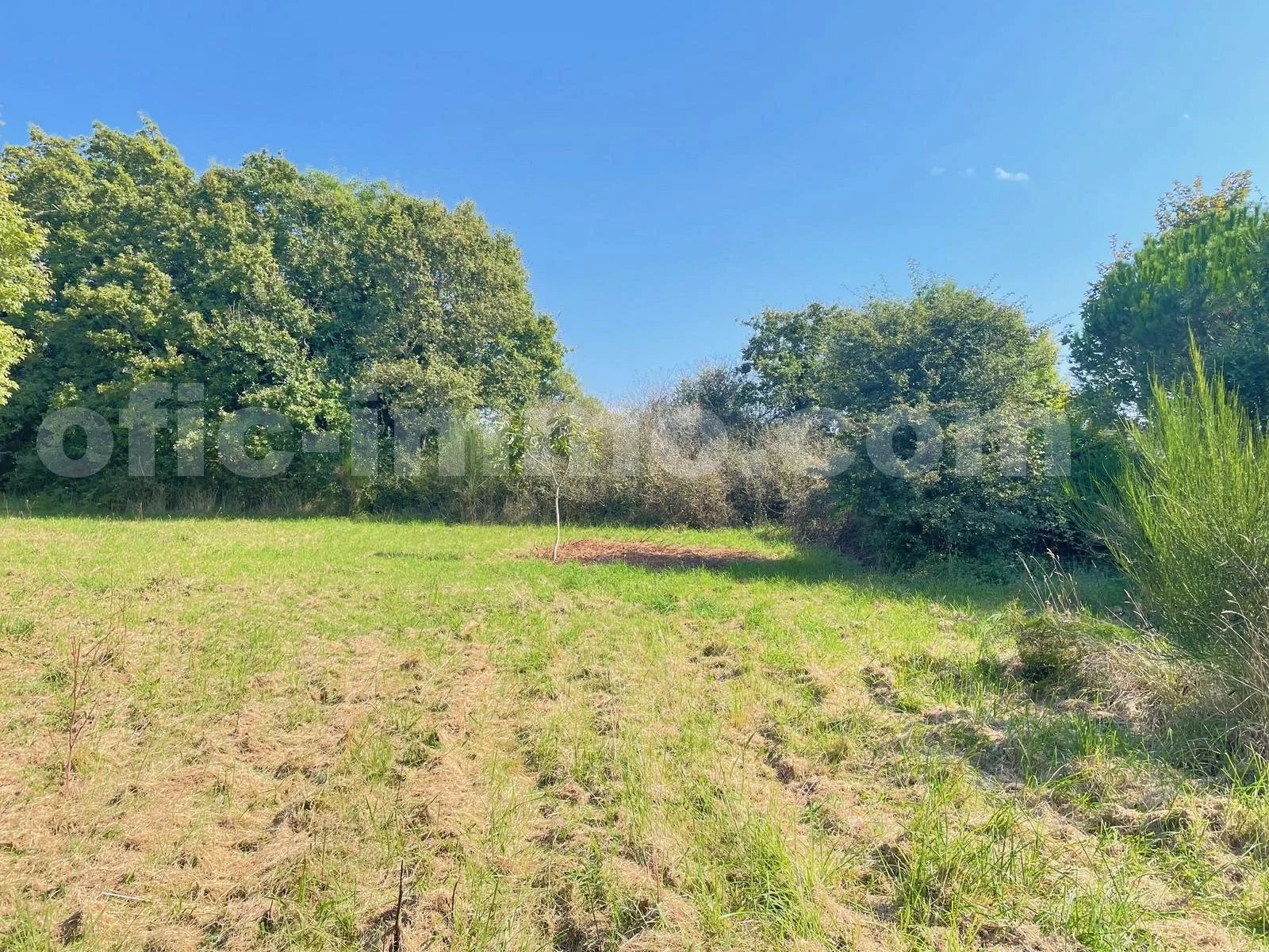 Vente Terrain Sarzeau