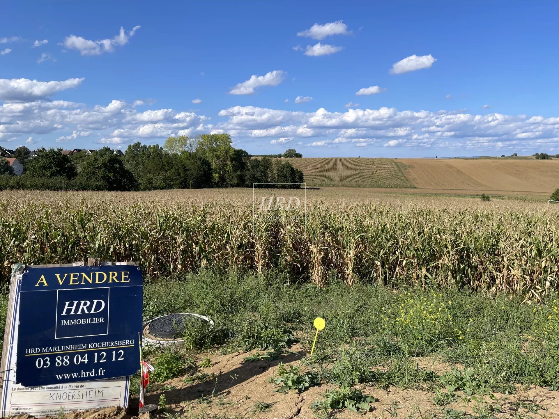 Vente Terrain constructible Willgottheim