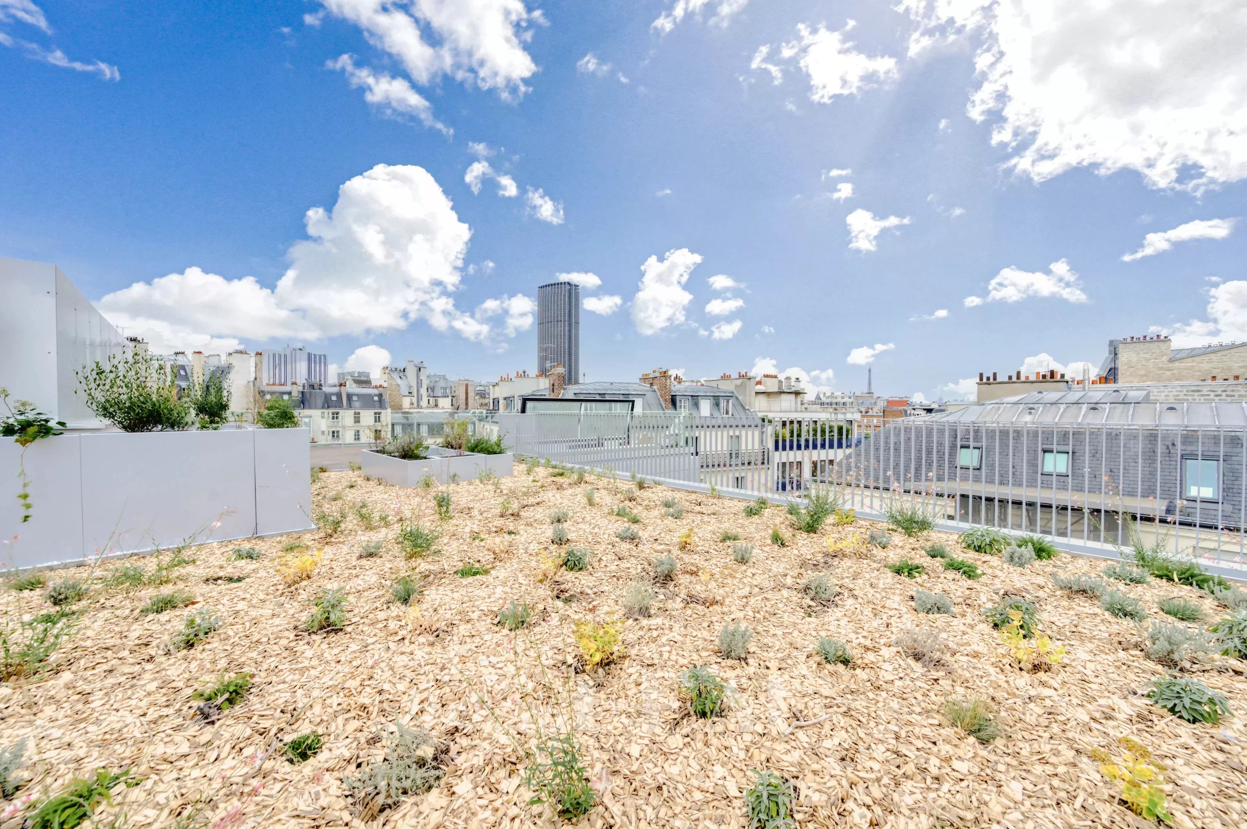 Location Penthouse Paris 6ème