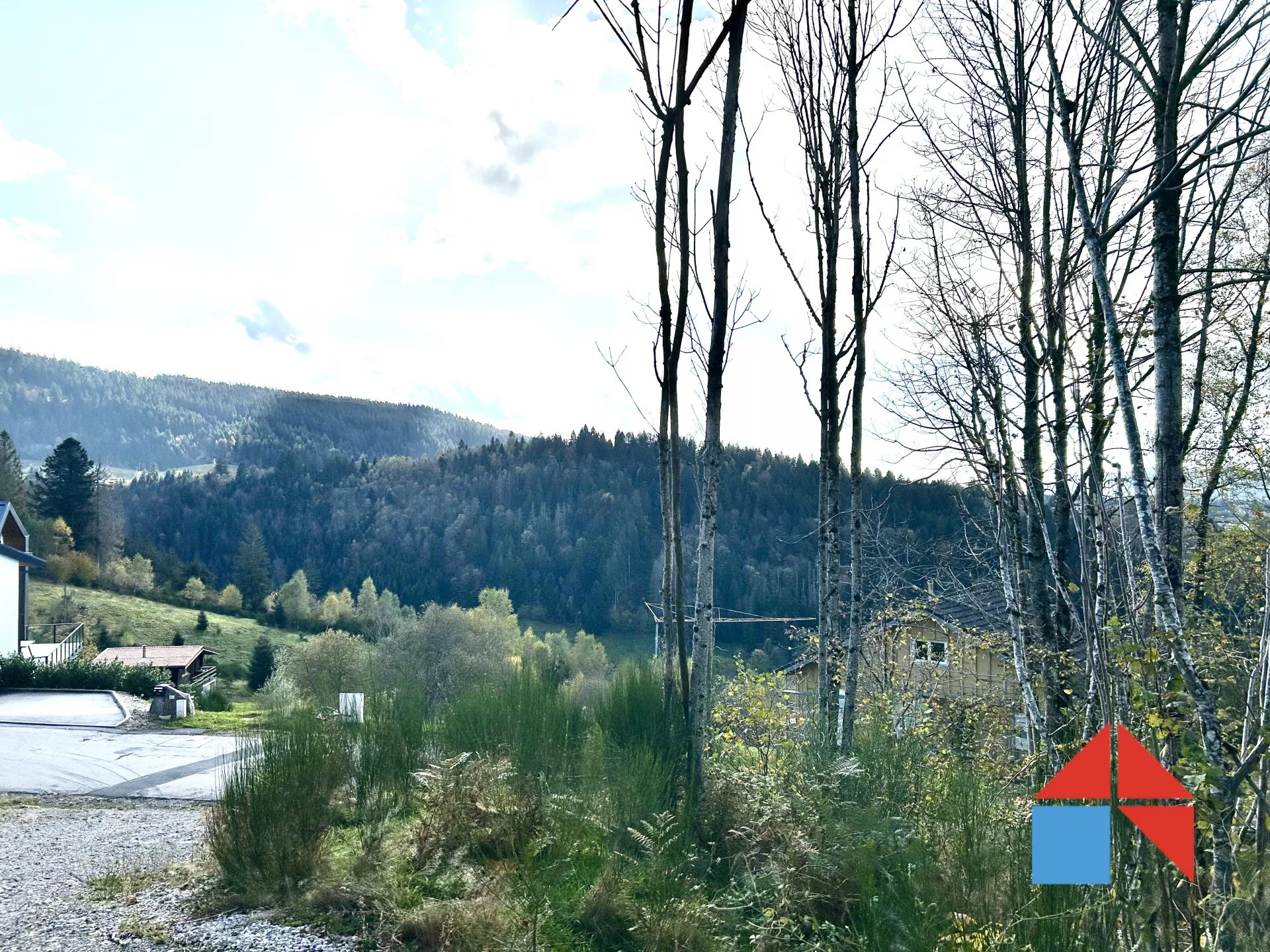 À Vendre : Terrain Viabilisé avec Vue Panoramique sur le Lac de Gérardmer