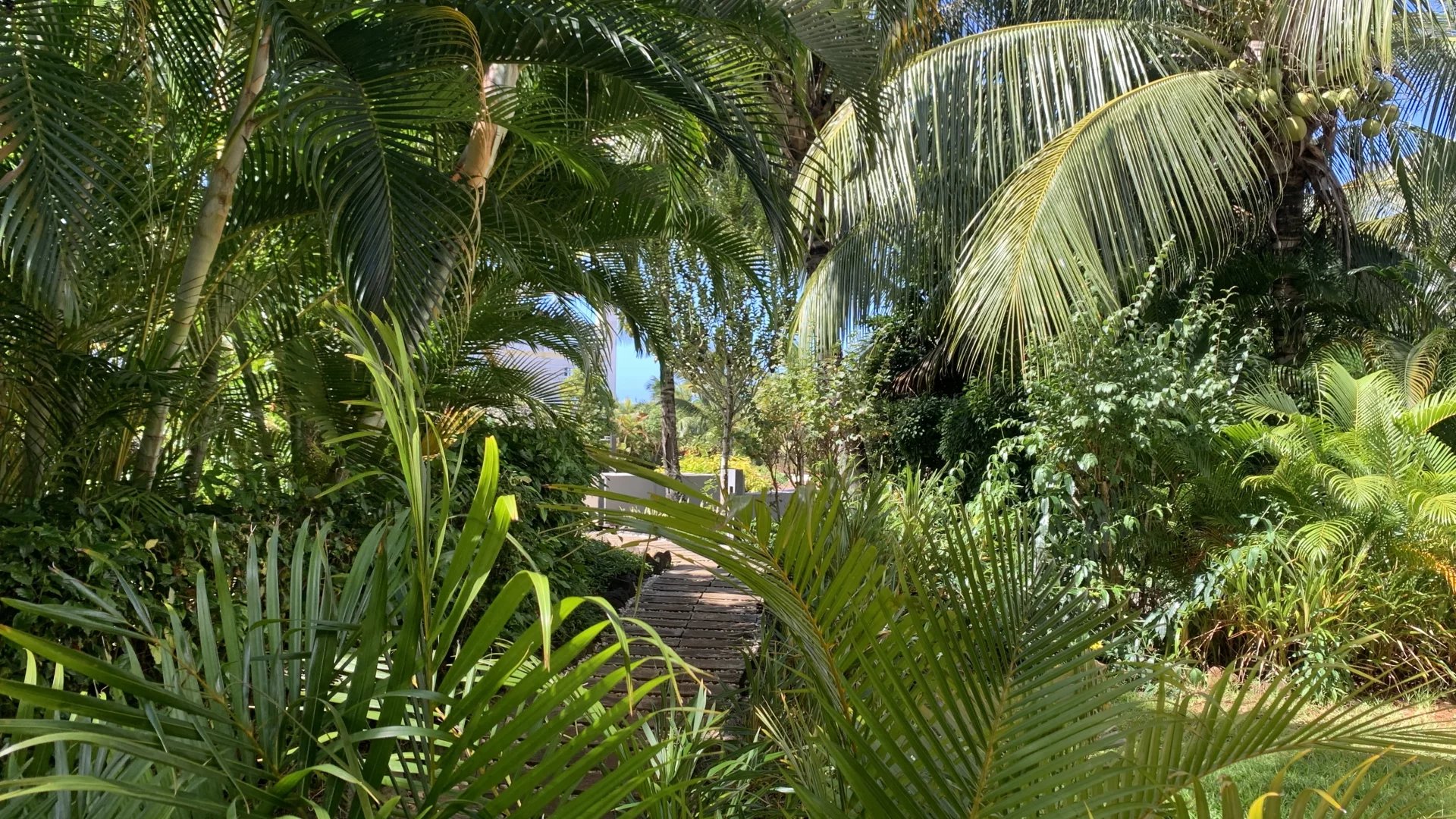 Daire Grand Baie - picture 12