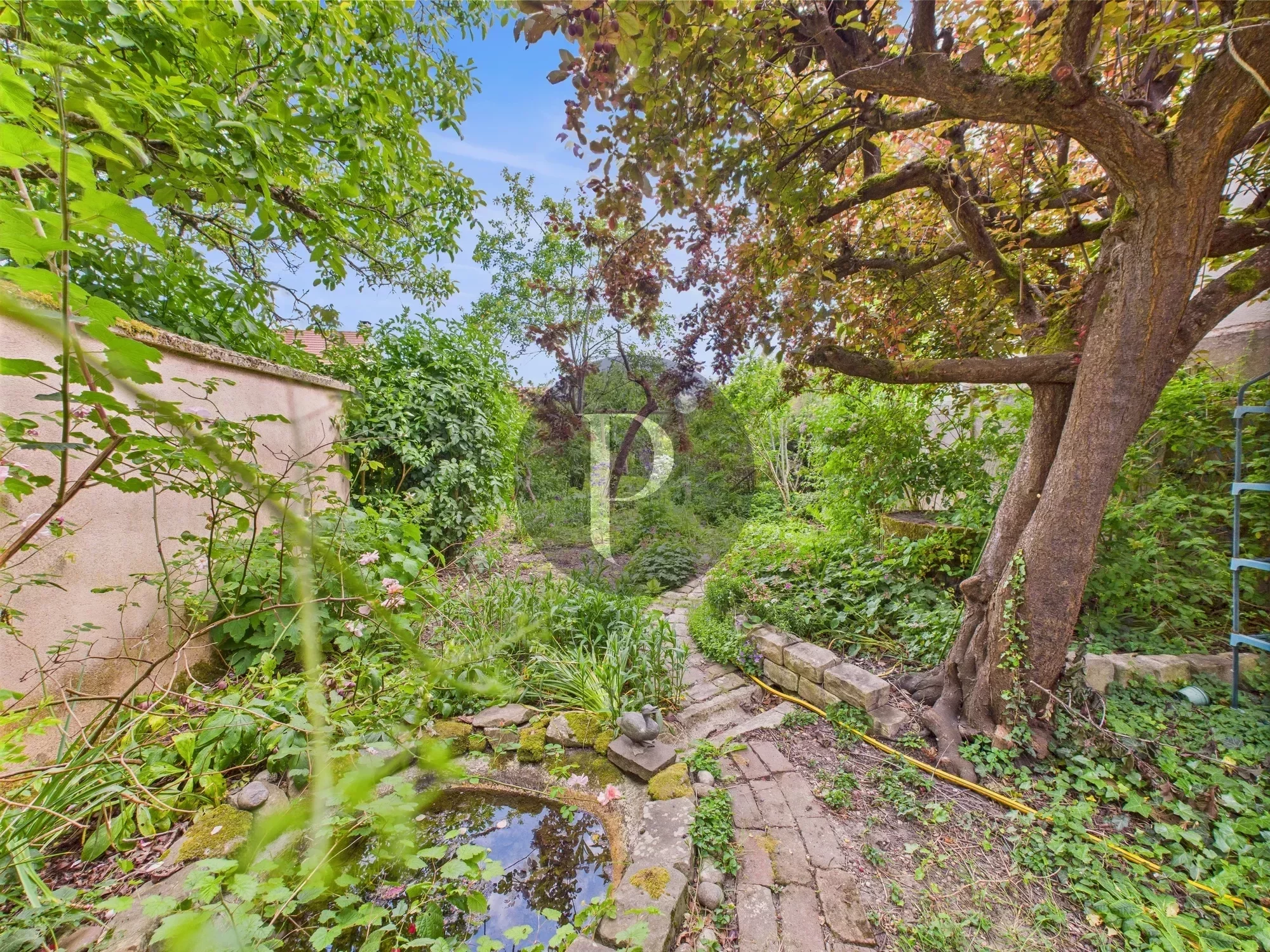 vente-maison-6-pieces-antony-92-hauts-de-seine-85853624