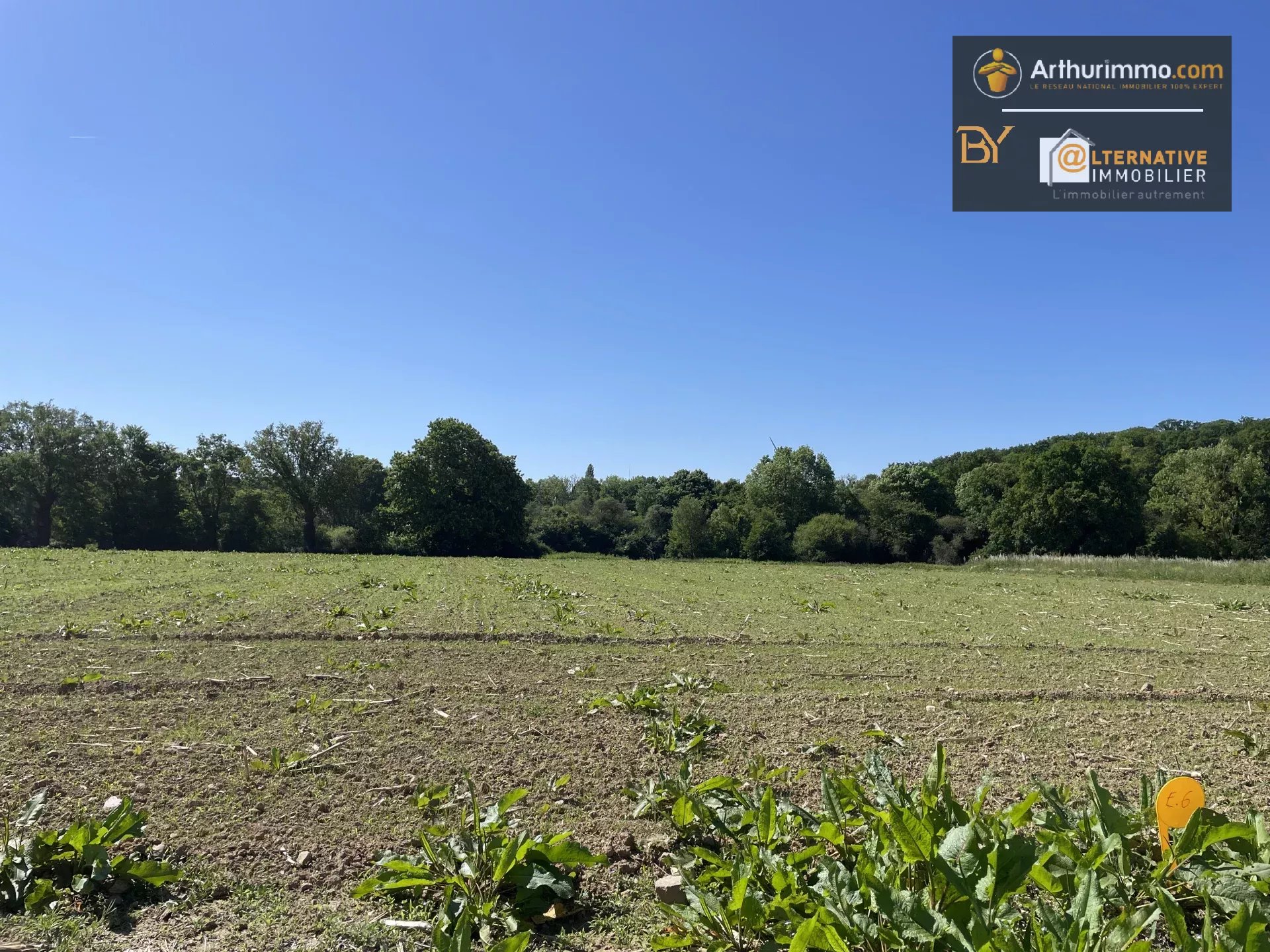 Agence immobilière de EURL ALTERNATIVE IMMOBILIER
